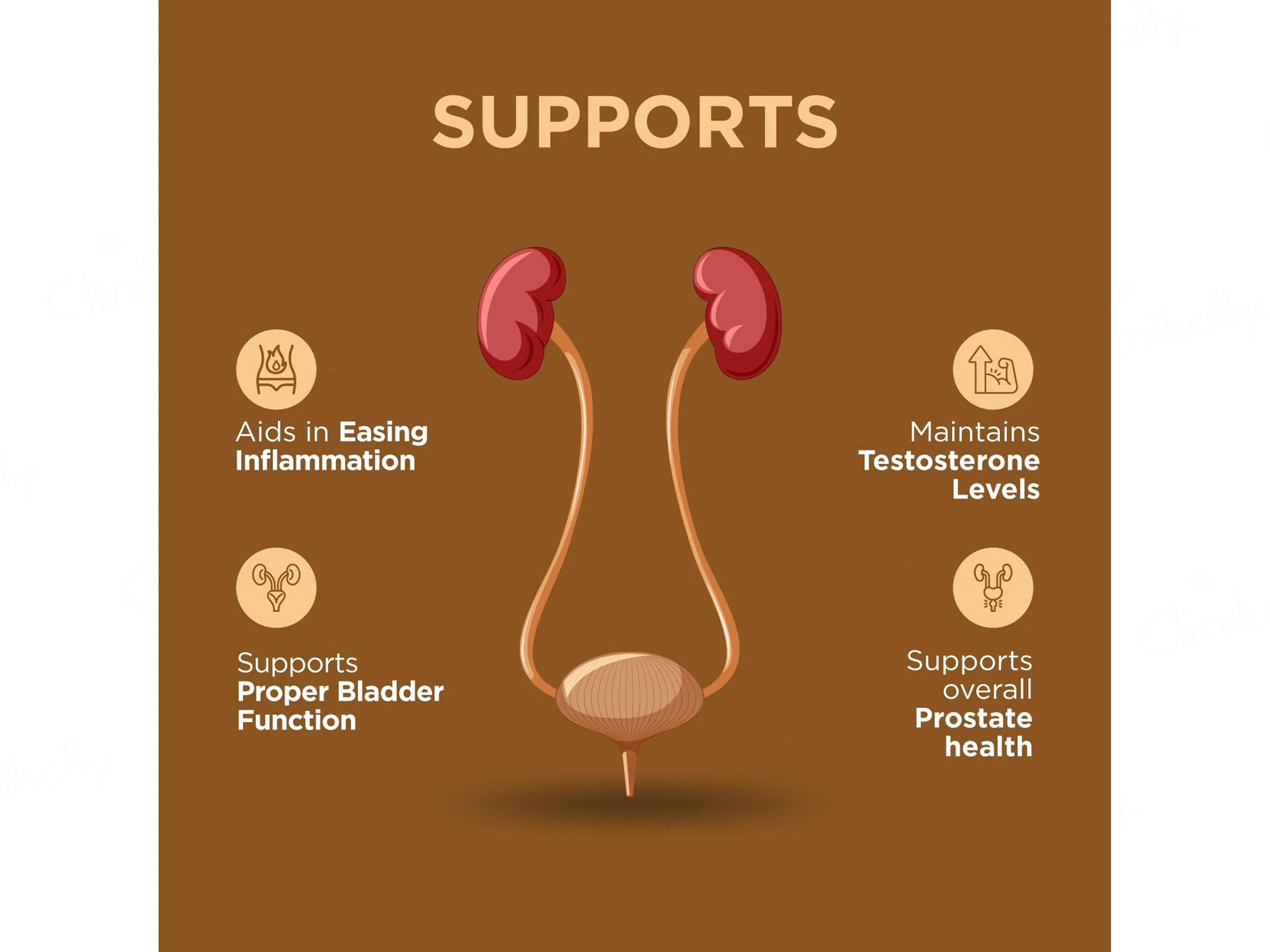 NatXtra Proplus Prostate Health Supplement Capsule - Image 4