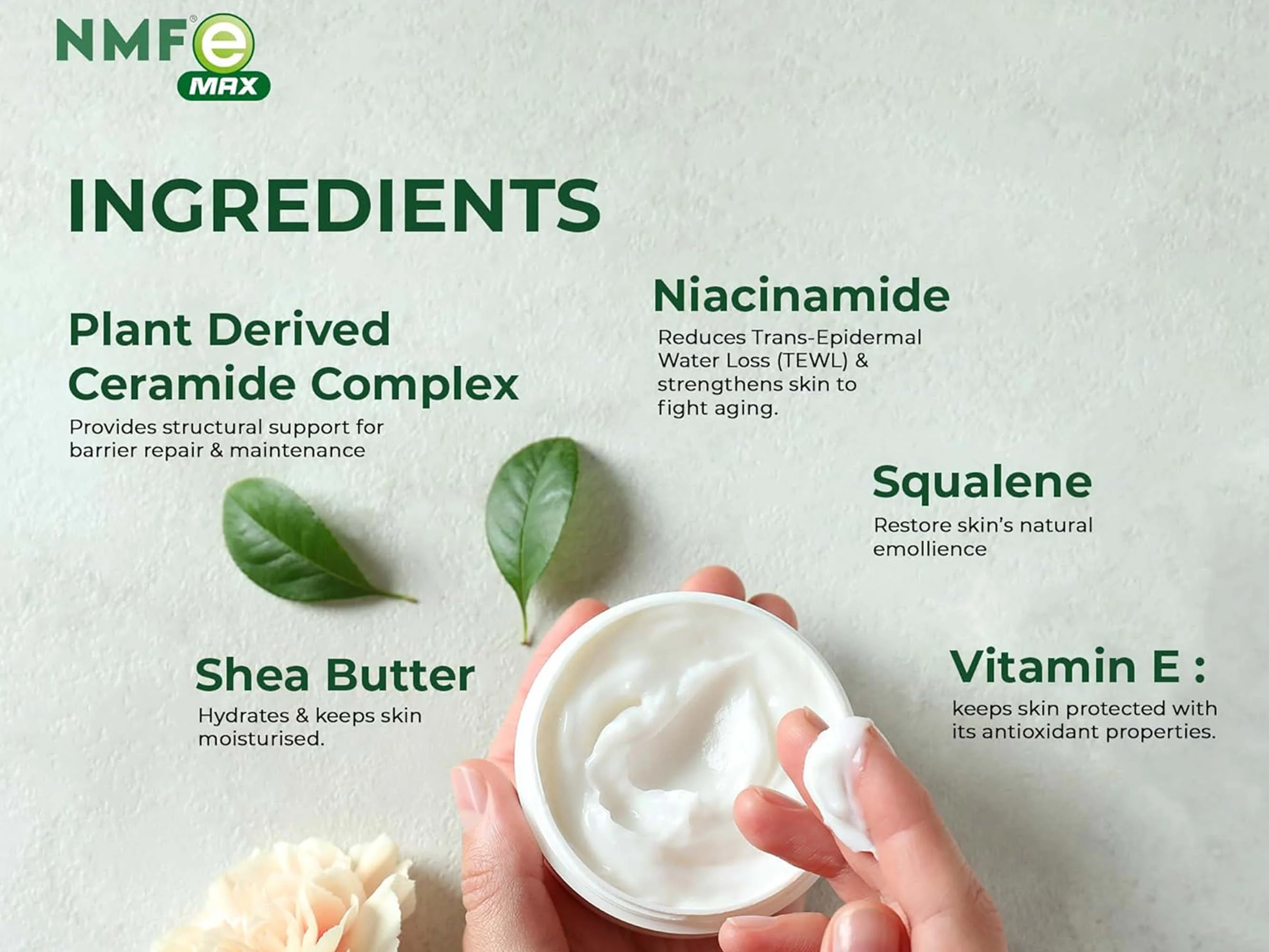 NMFe Max Skin Cream For Dry & Sensitive Skin - Image 2