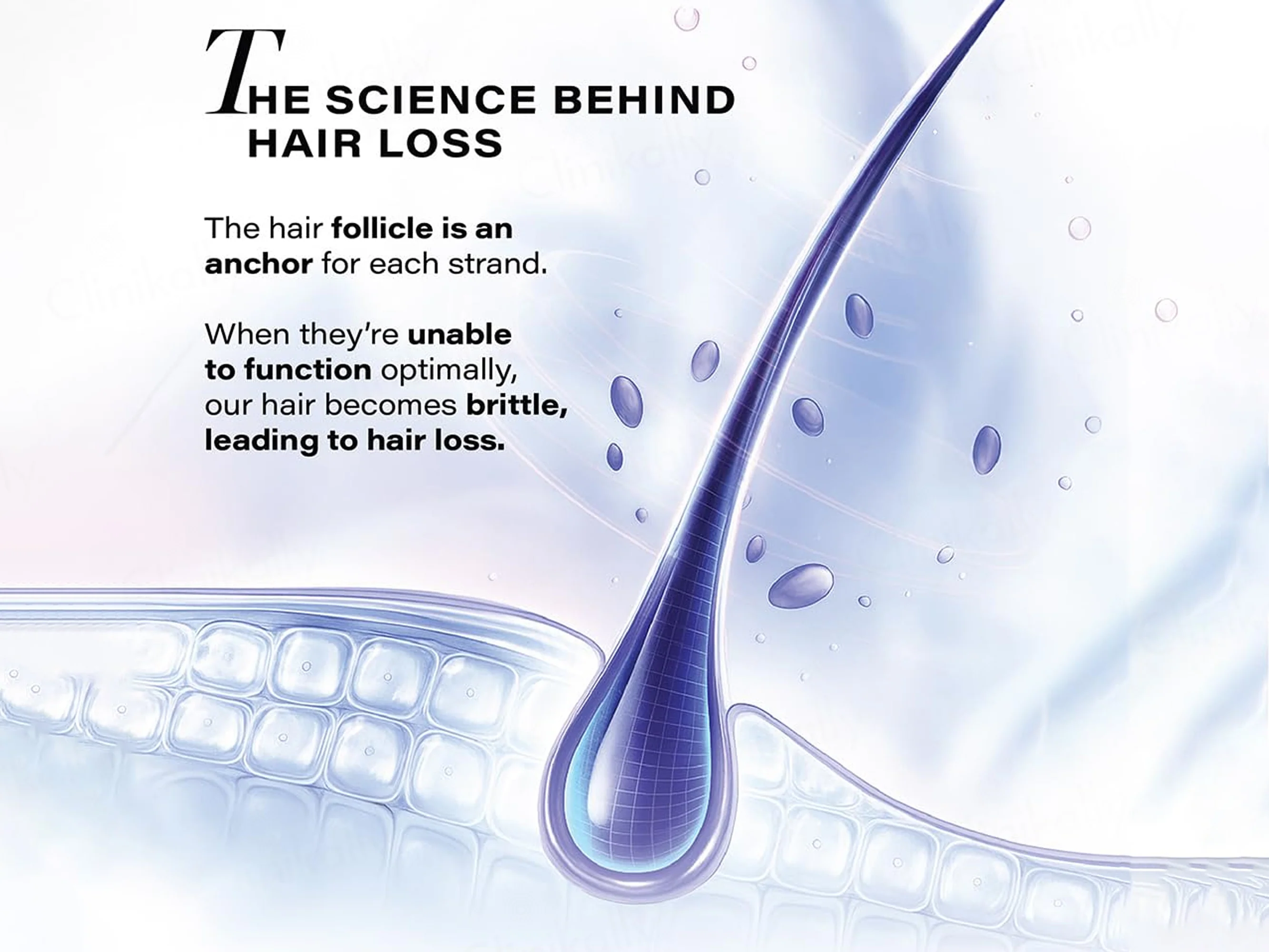 Novology Follicle Revive Hair Growth Scalp Serum - Image 4