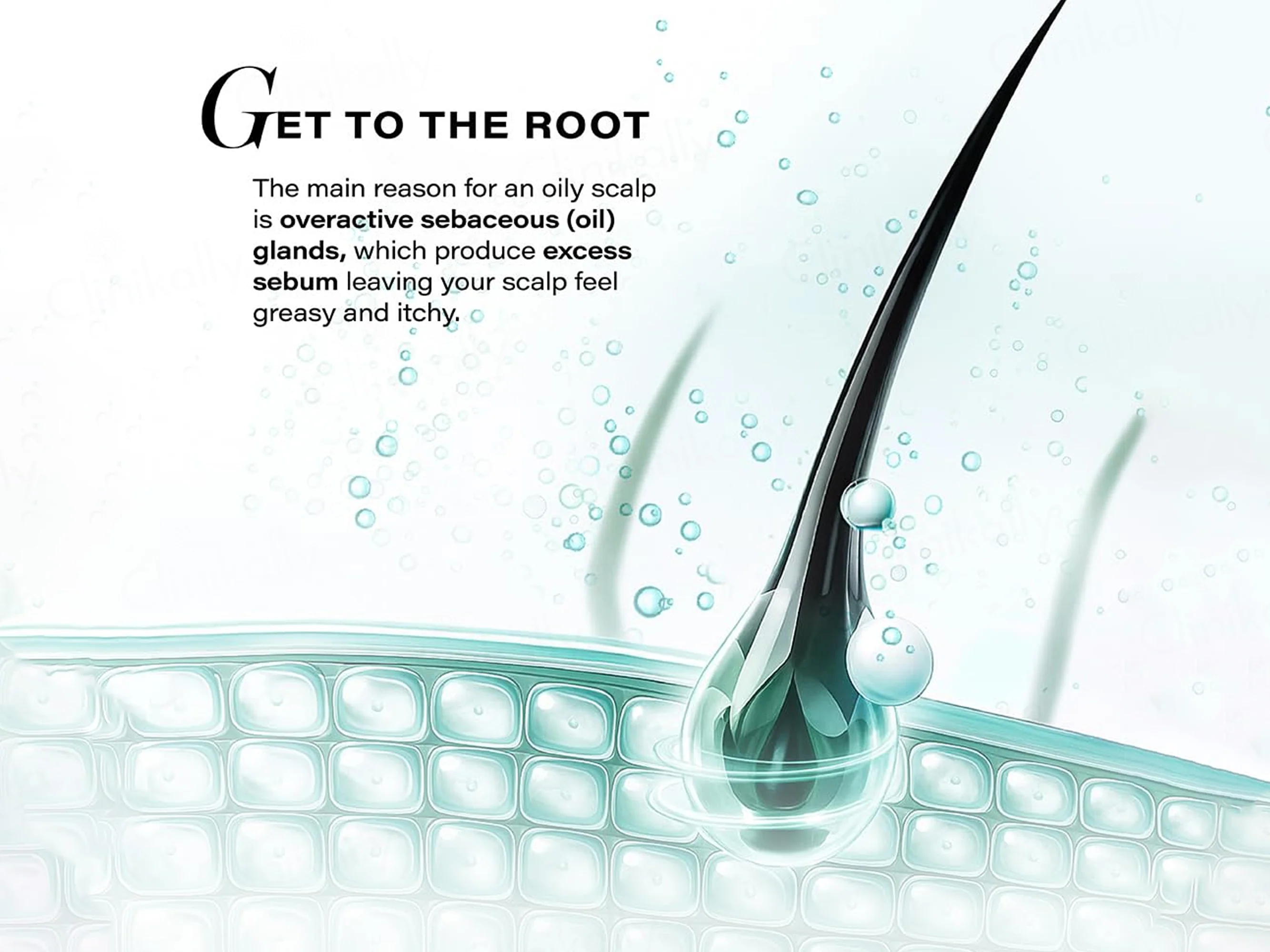 Novology Sebosys Control Scalp Serum For Oily Scalp - Image 3