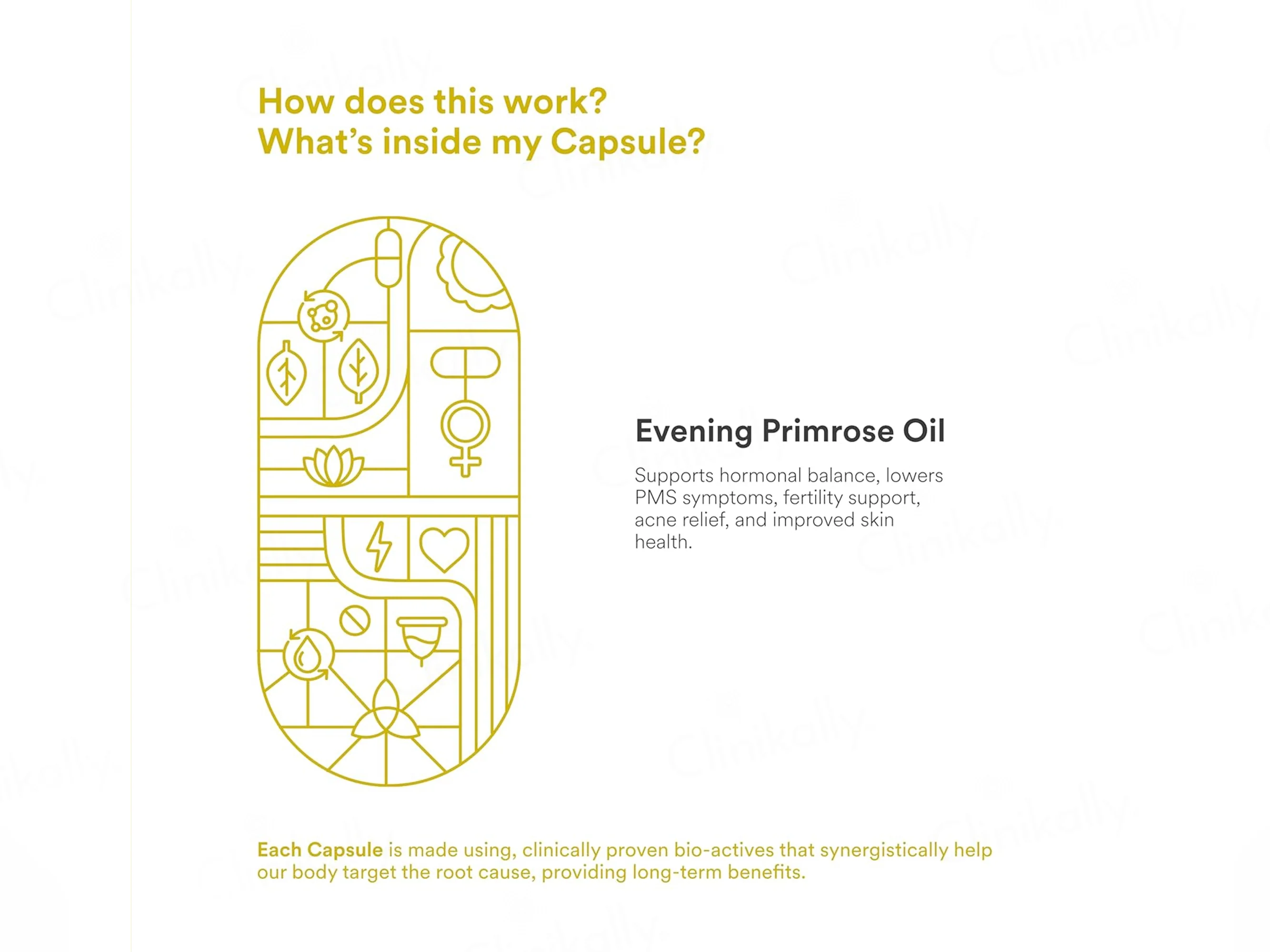 Origins Nutra Evening Primrose Oil 500mg Nutraceutical Veg Softgel Capsule - Image 3