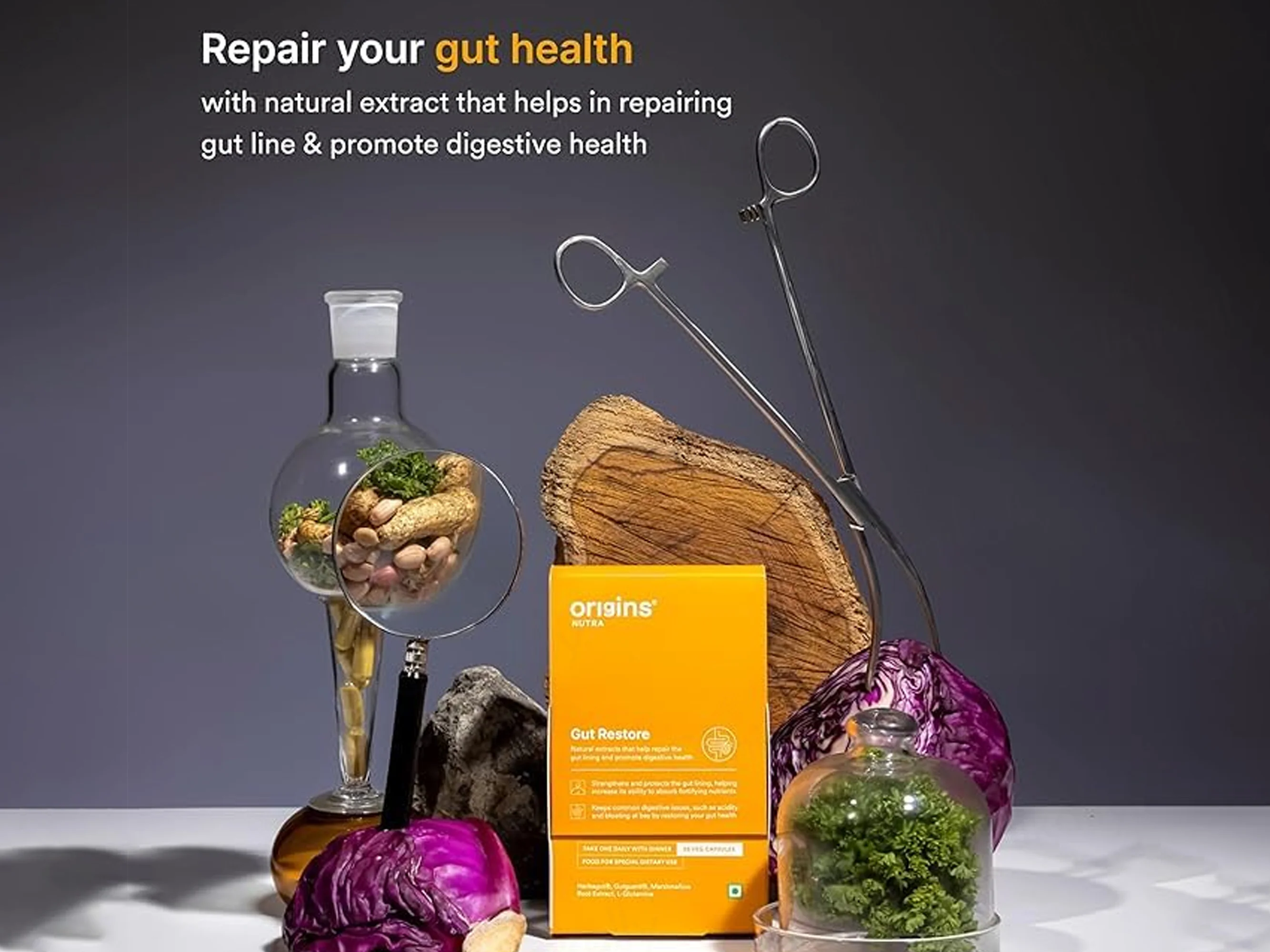 Origins Nutra Gut Restore Nutraceutical Veg Capsule - Image 2