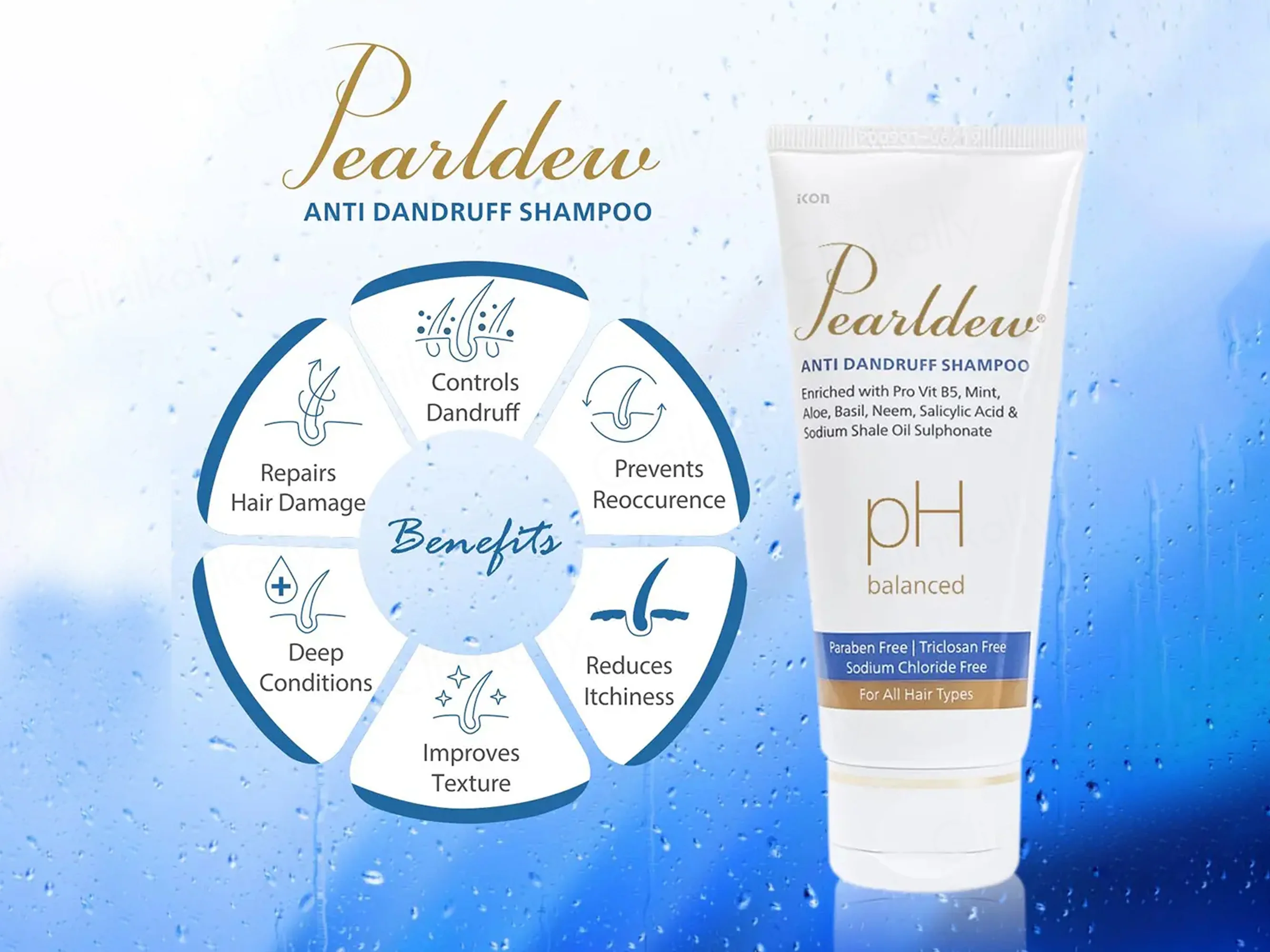 Pearldew pH Balanced Anti Dandruff Shampoo - Image 4