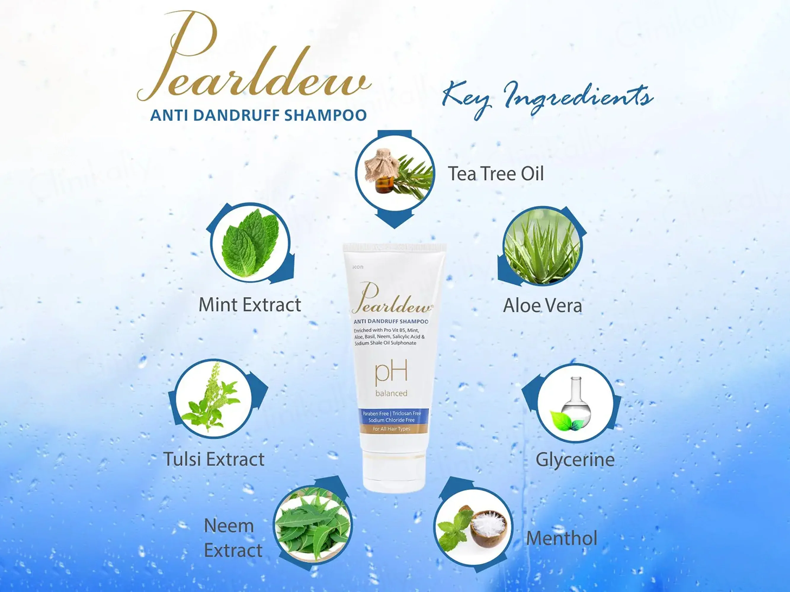 Pearldew pH Balanced Anti Dandruff Shampoo - Image 6