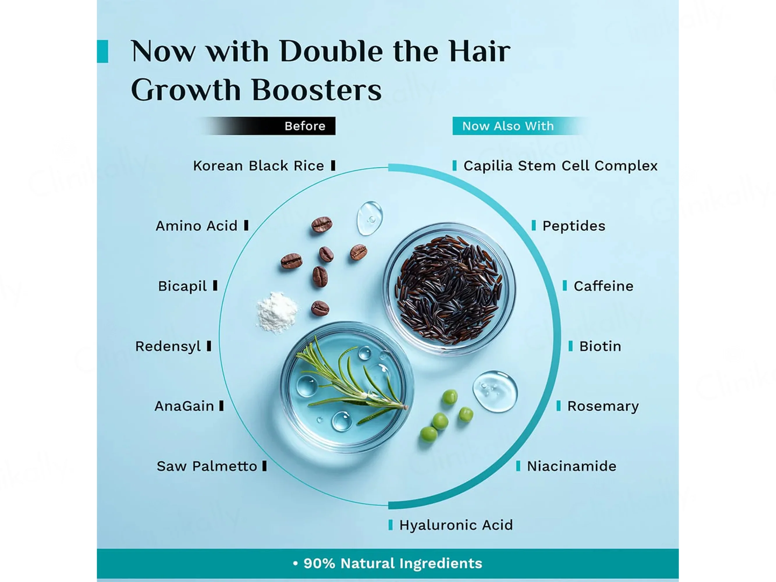 Pilgrim 3% Redensyl & 4% Anagain Advanced Hair Growth Serum With Korean Black Rice - Image 5