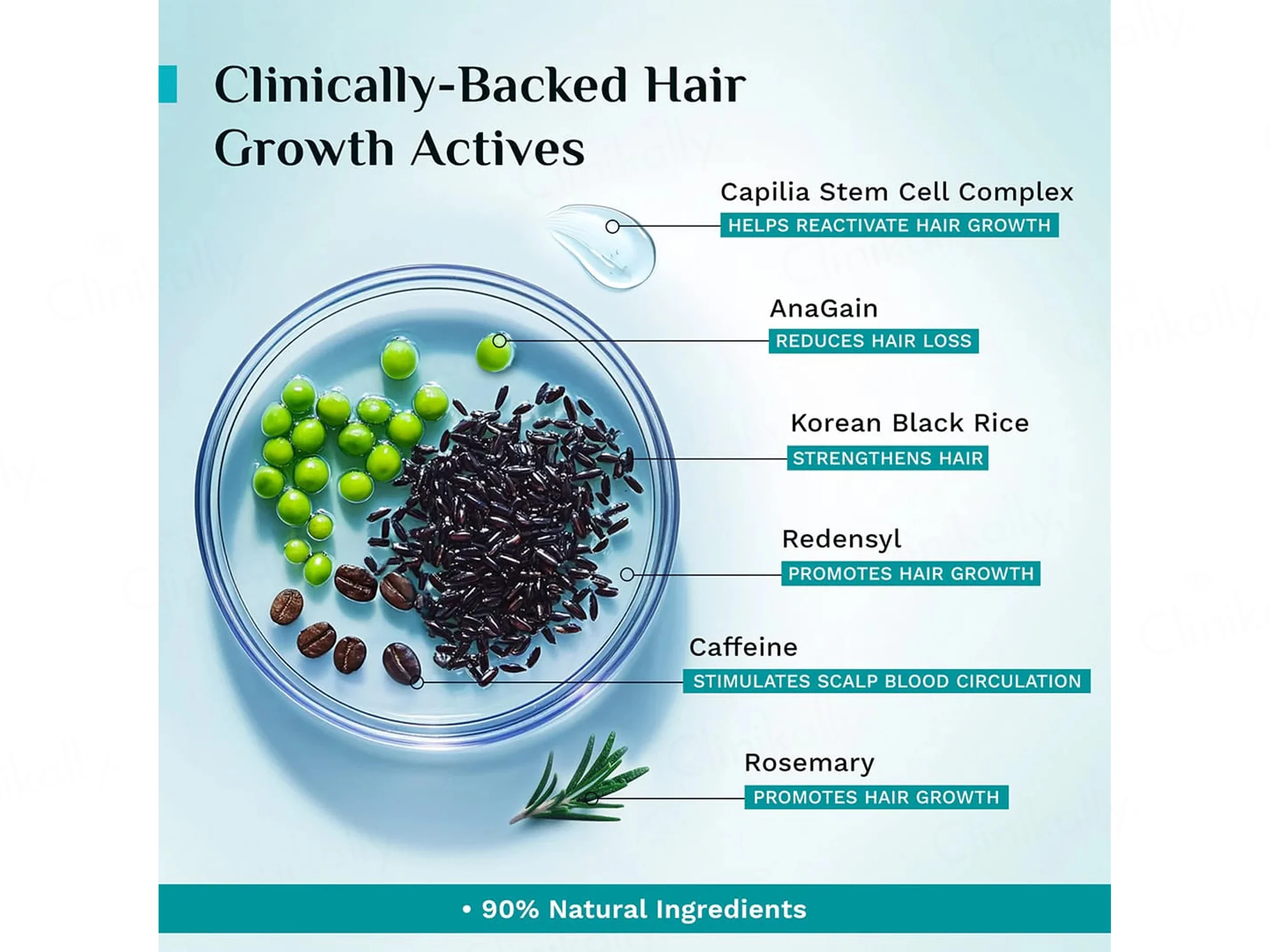 Pilgrim 3% Redensyl & 4% Anagain Advanced Hair Growth Serum With Korean Black Rice - Image 6