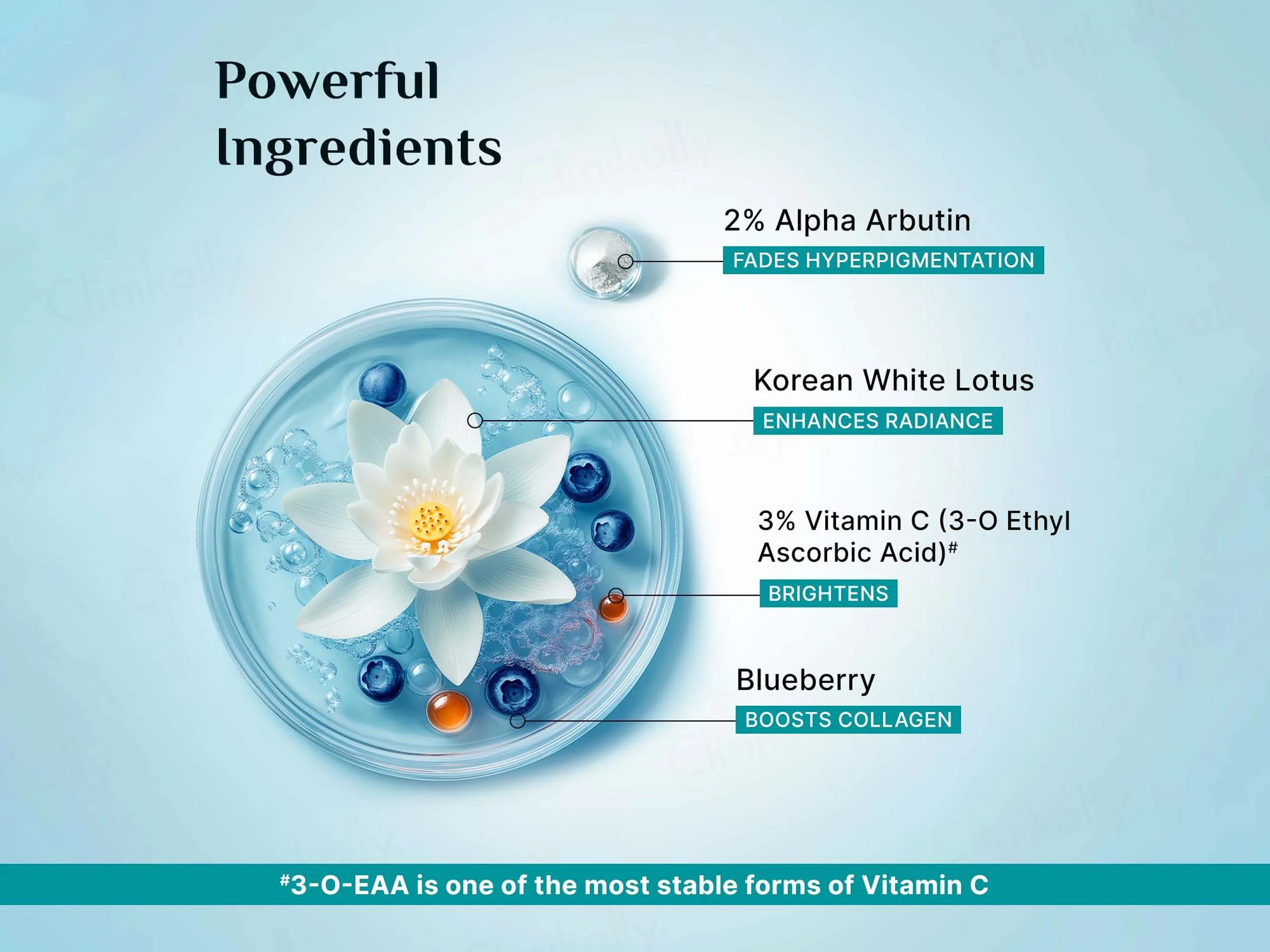 Pilgrim Alpha Arbutin & Vitamin C Brightening Serum - Image 4