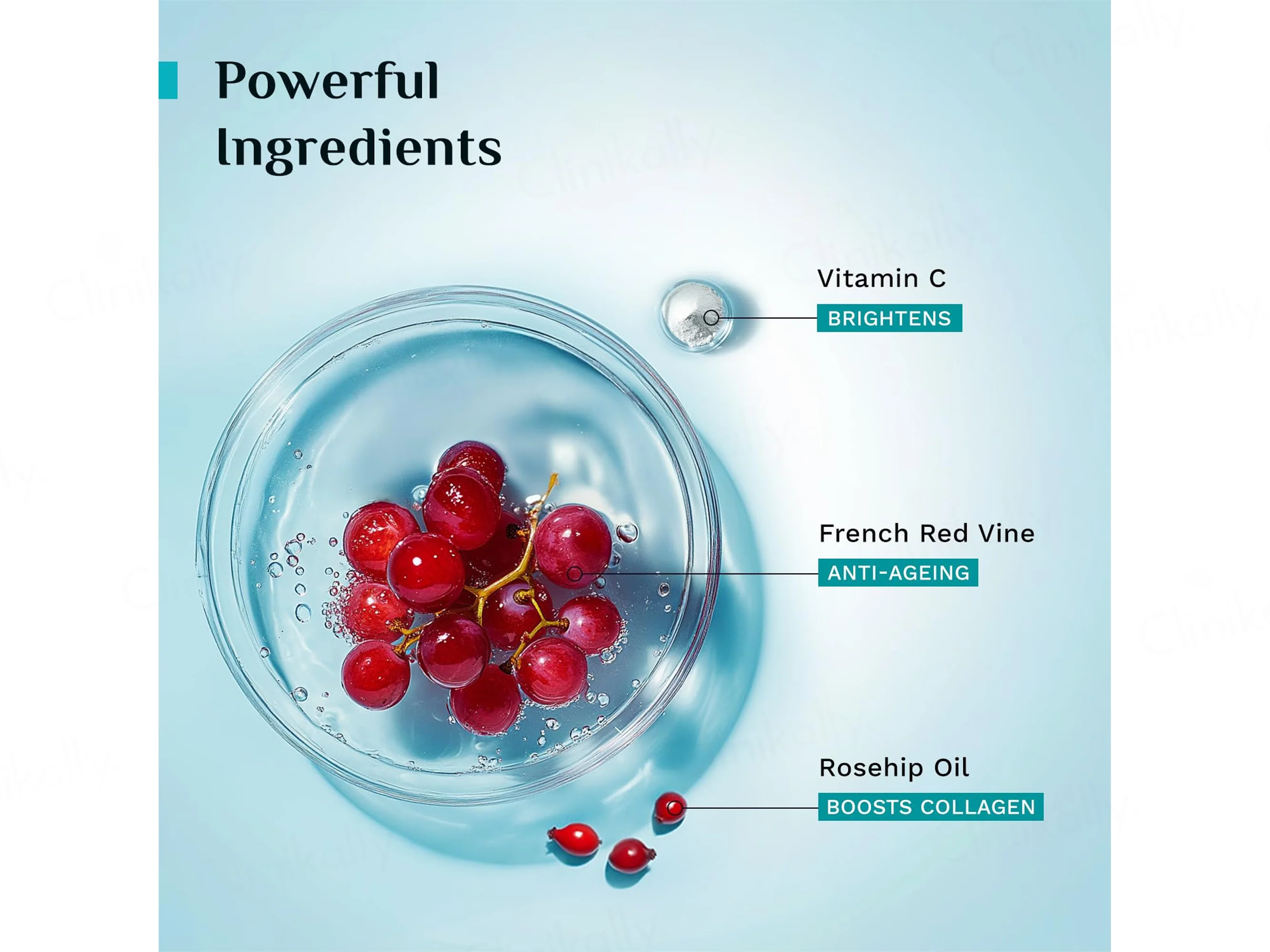 Pilgrim French Red Vine Youthful Glow Moisturizer SPF 30 - Image 4