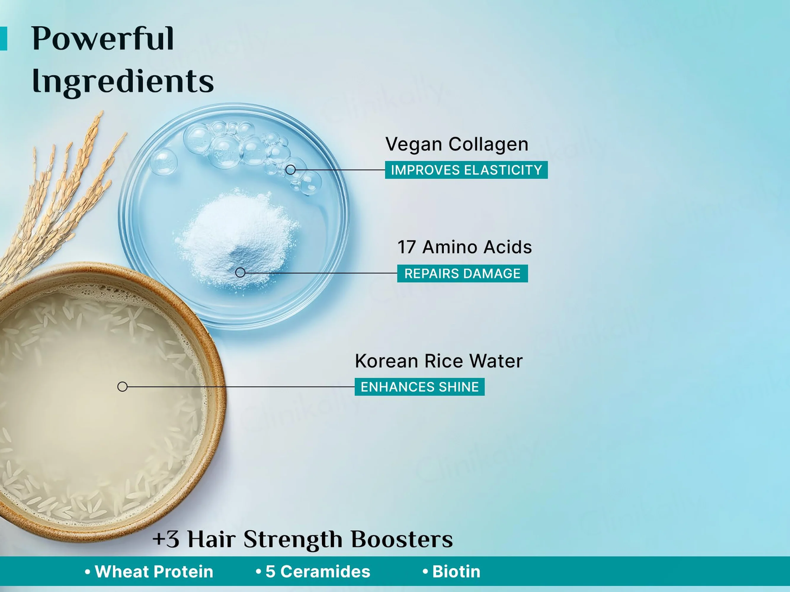 Pilgrim Korean Rice Water & Collagen Advanced Damaged Repair Hair Mask - Image 4