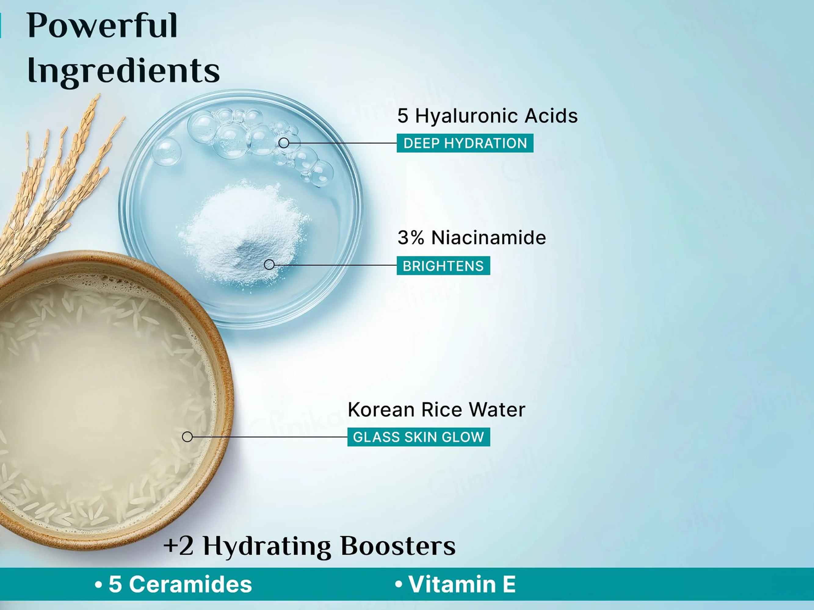 Pilgrim Korean Rice Water Hydra Glow Light Gel Cream Moisturizer - Image 5