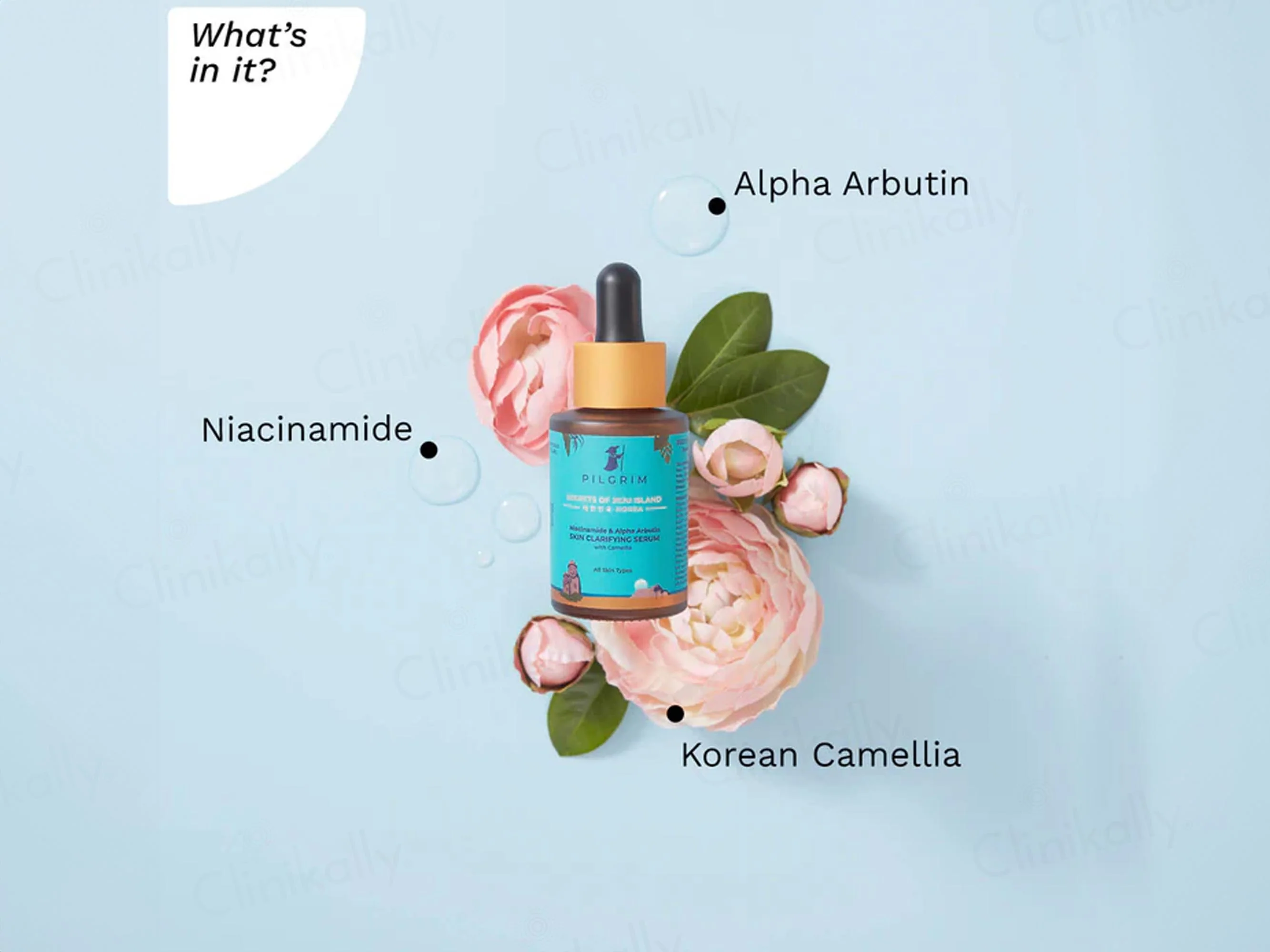 Pilgrim Niacinamide & Alpha Arbutin Skin Clarifying Serum - Image 3