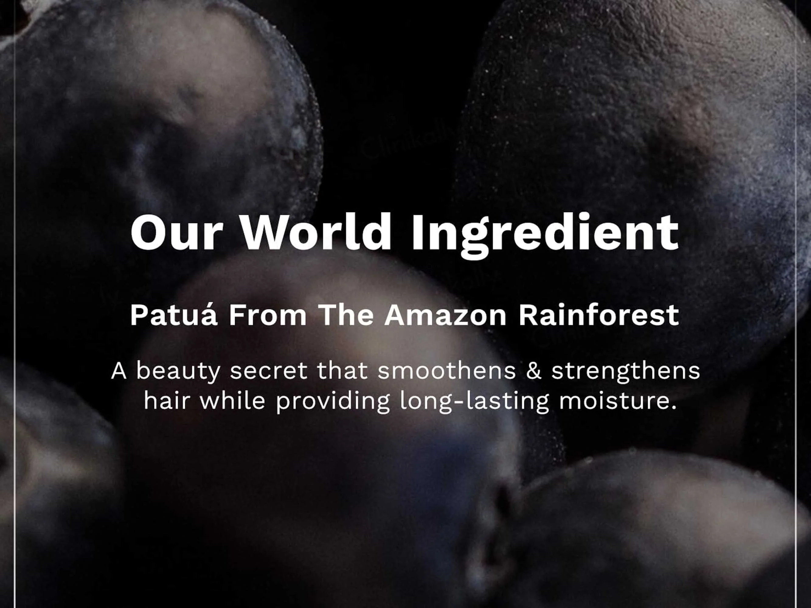 Pilgrim Patuá & Keratin Smoothening Shampoo - Image 5