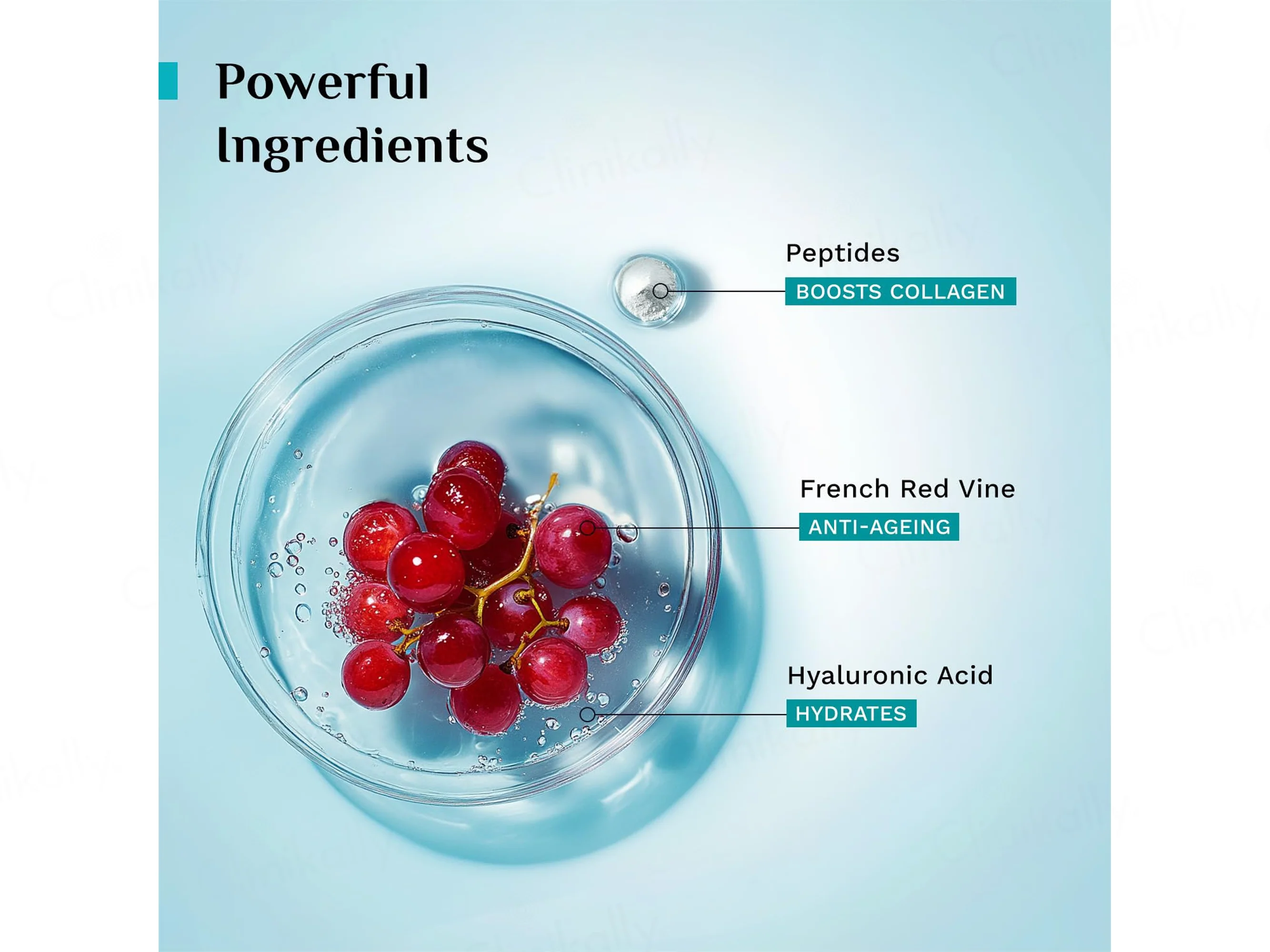 Pilgrim Red Vine Face Serum - Image 5