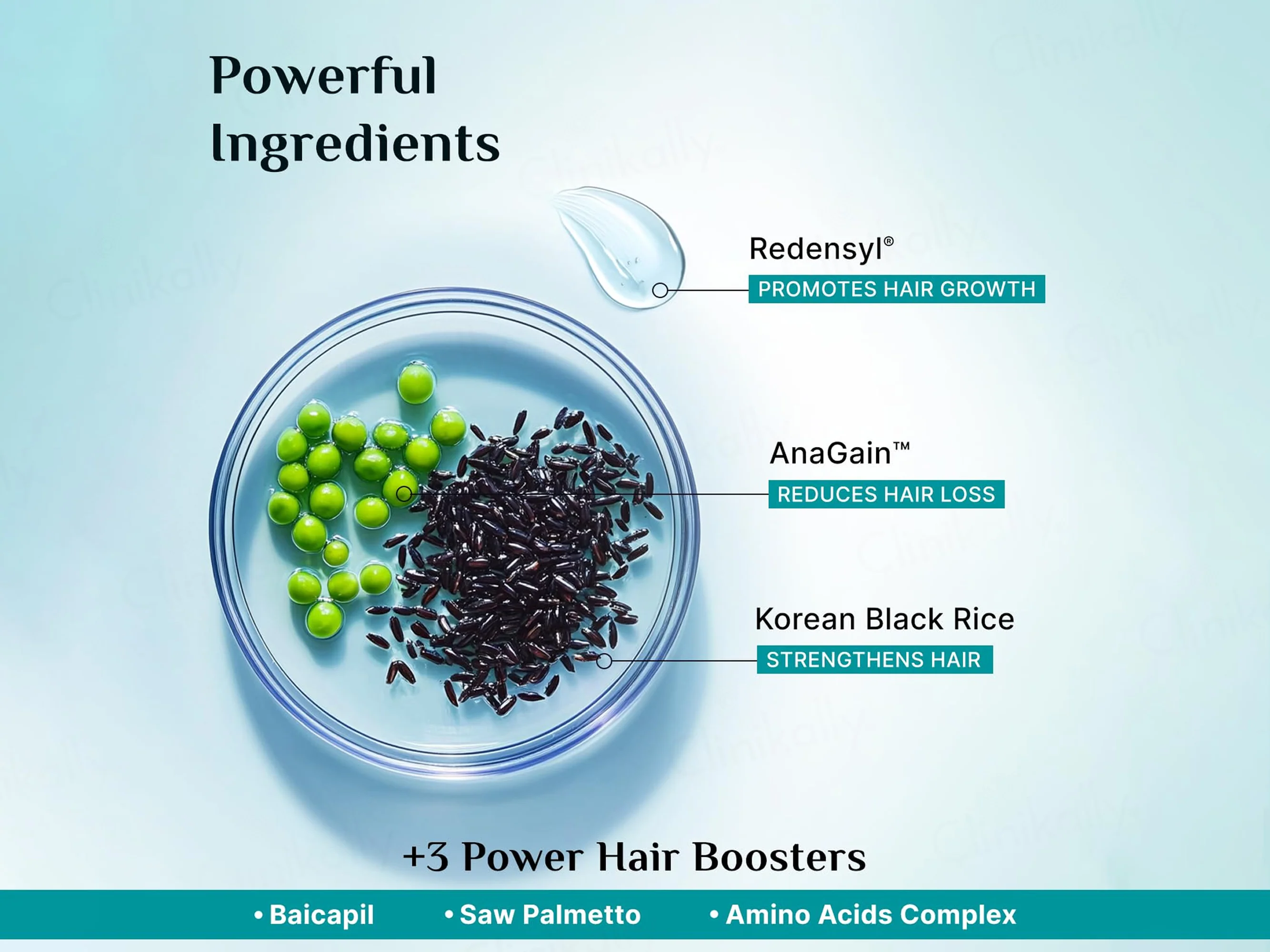 Pilgrim Redensyl & Anagain Hairfall Control Shampoo With Korean Black Rice - Image 2