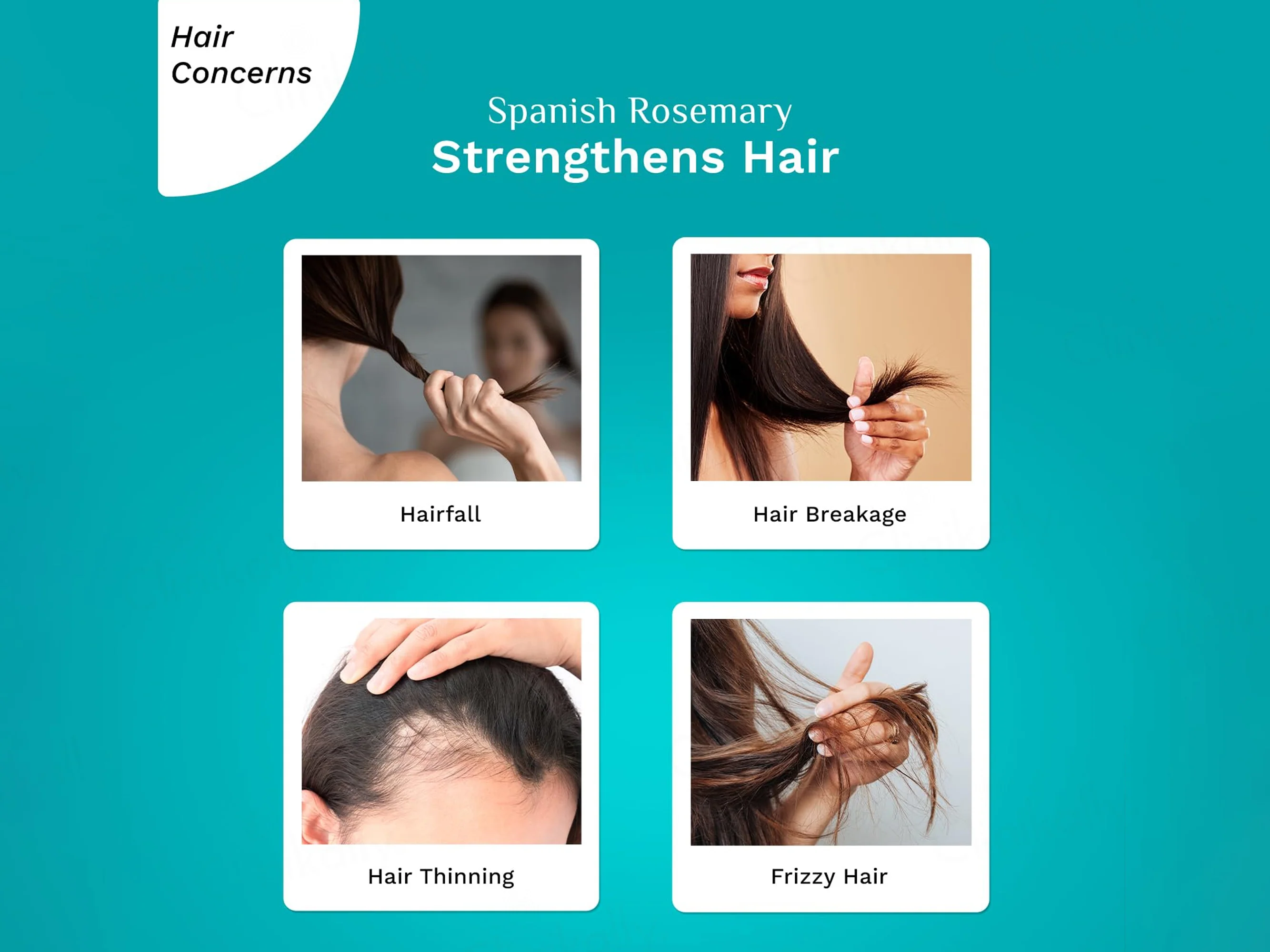 Pilgrim Spanish Rosemary & Biotin Anti-Hairfall Hair Mask - Image 4