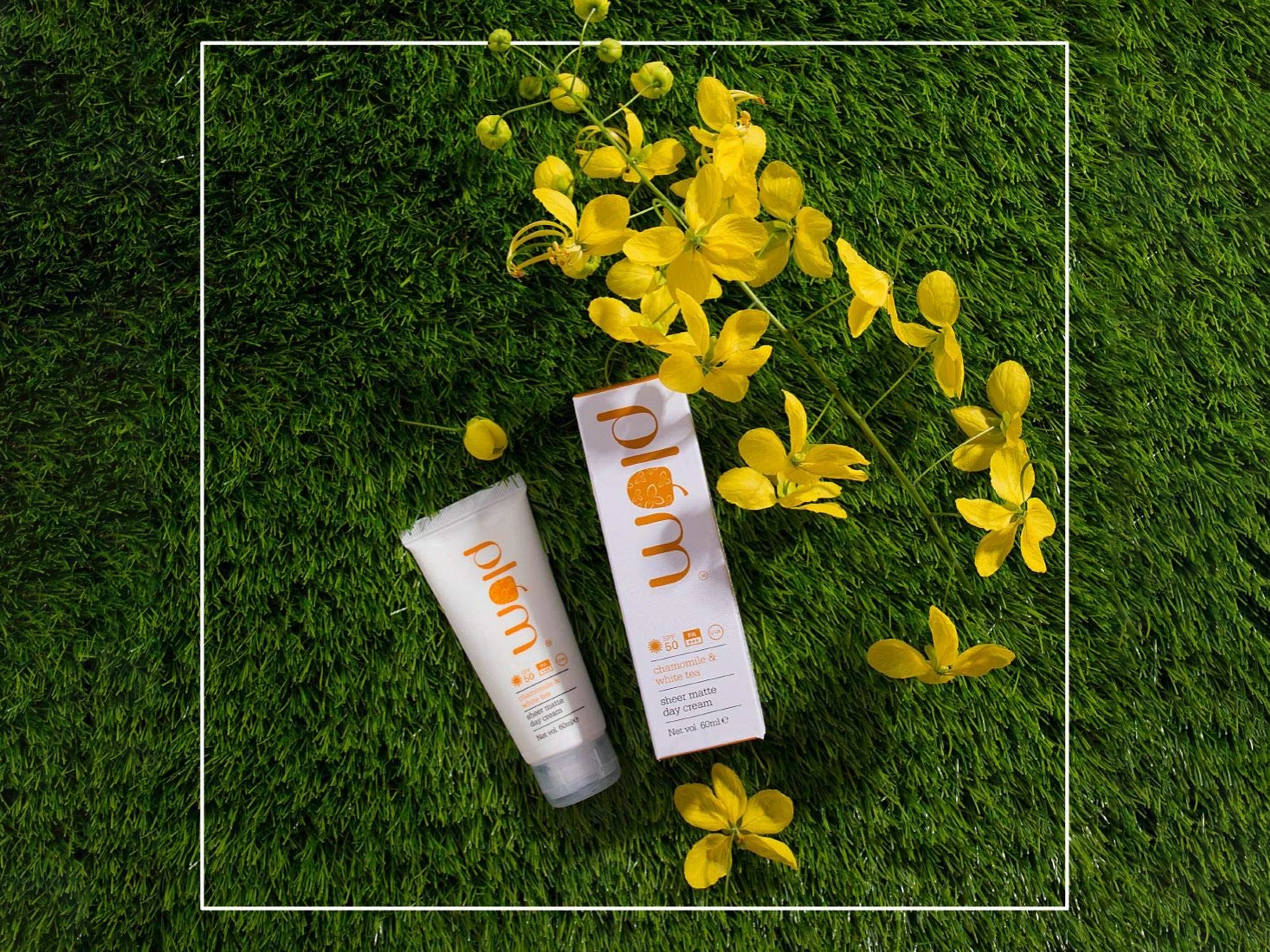 Plum Chamomile & White Tea Sheer Matte Day Cream Sunscreen SPF 50 PA+++ - Image 2