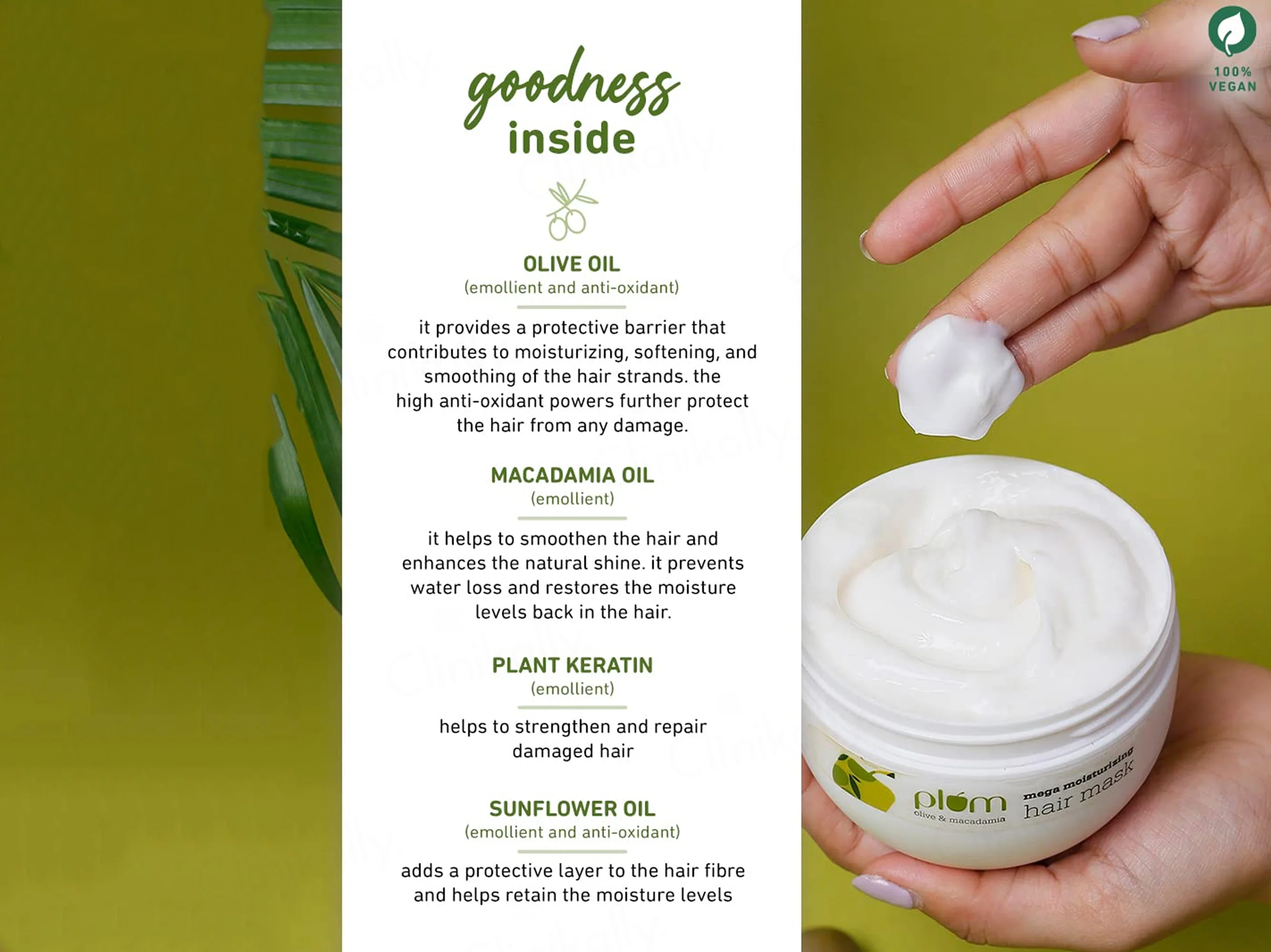Plum Olive & Macadamia Mega Moisturizing Hair Mask - Image 3