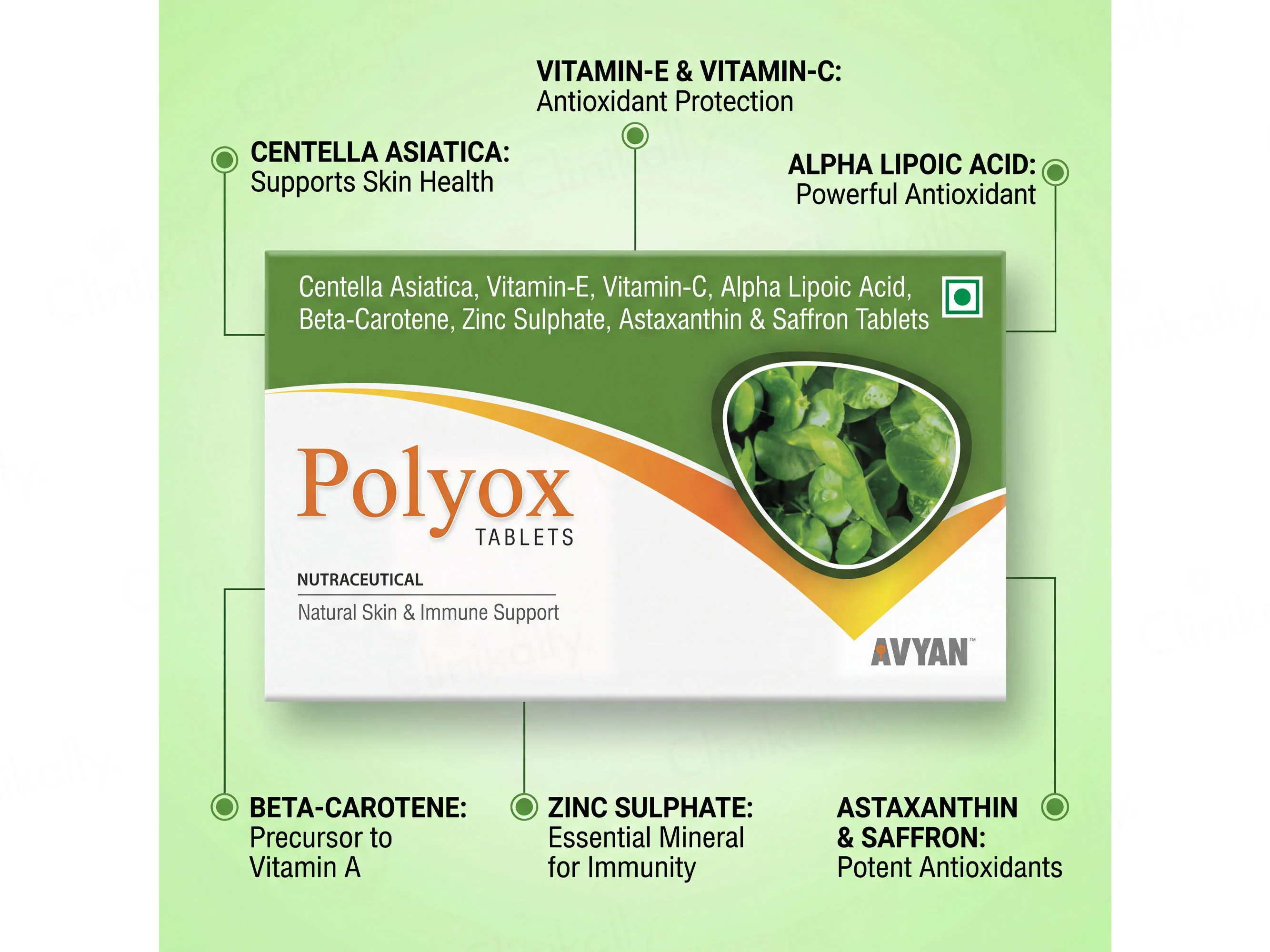 Polyox Nutraceutical Tablet - Image 3