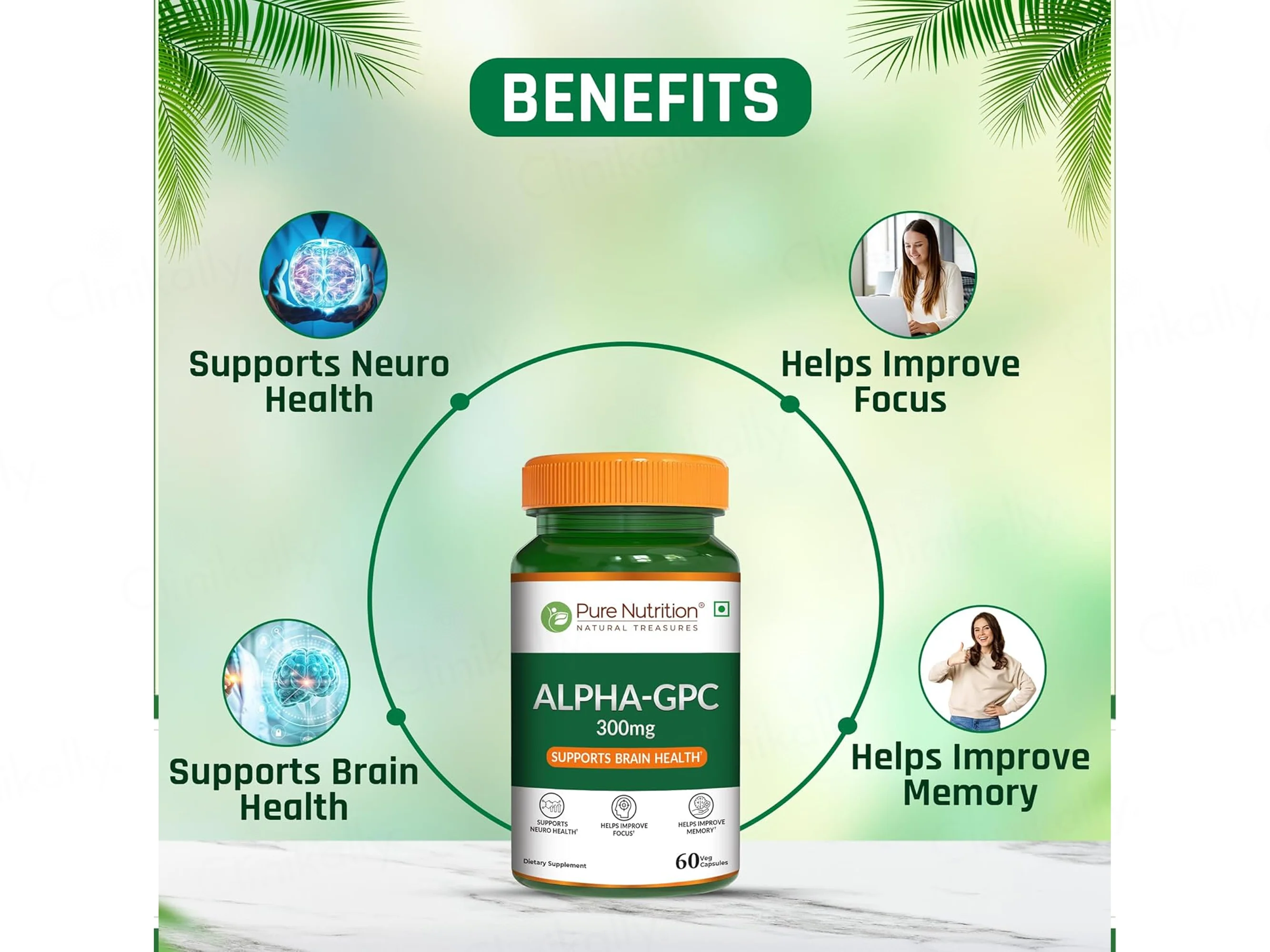 Pure Nutrition Alpha-GPC 300mg Veg Capsule - Image 3