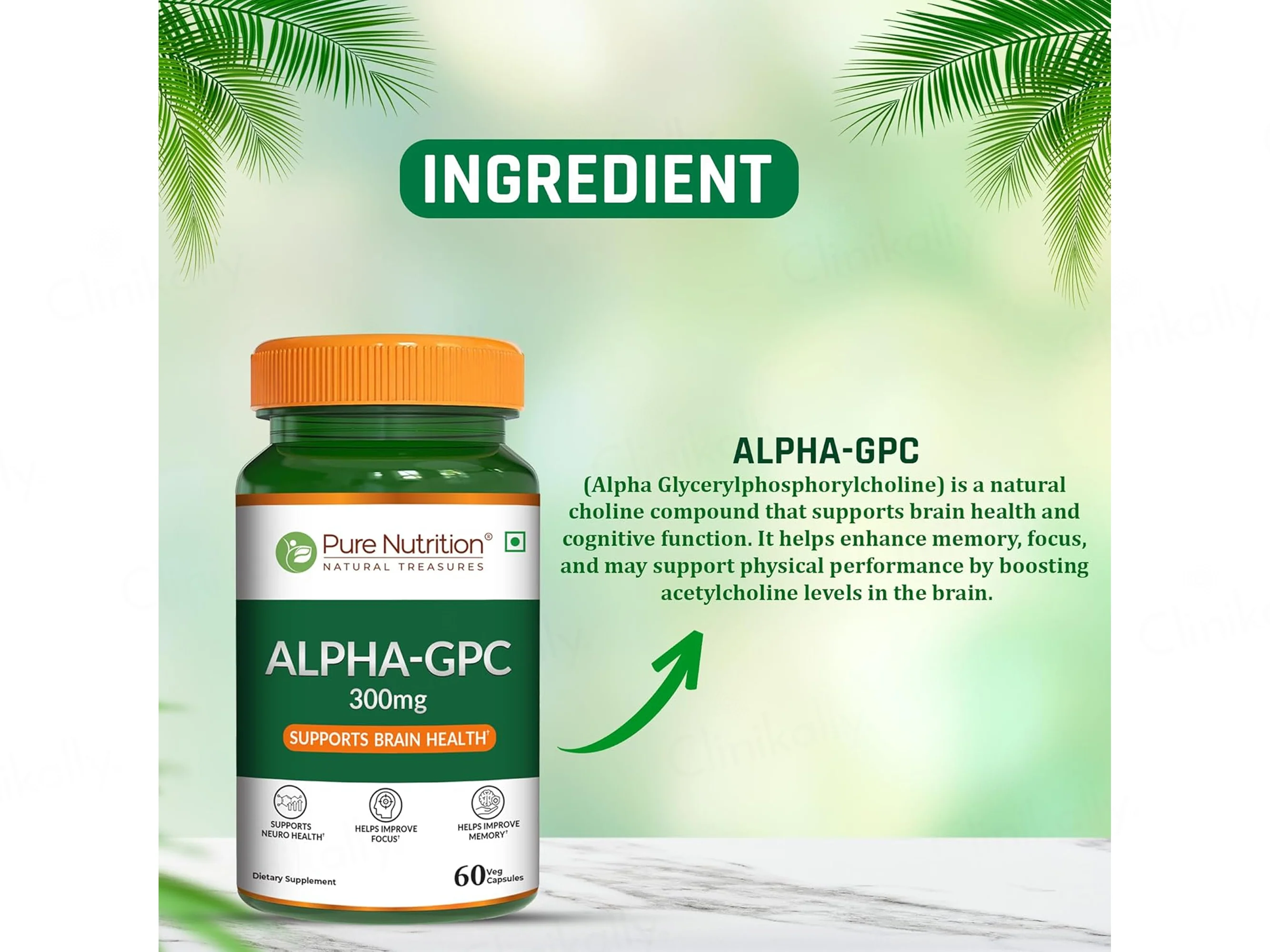 Pure Nutrition Alpha-GPC 300mg Veg Capsule - Image 4