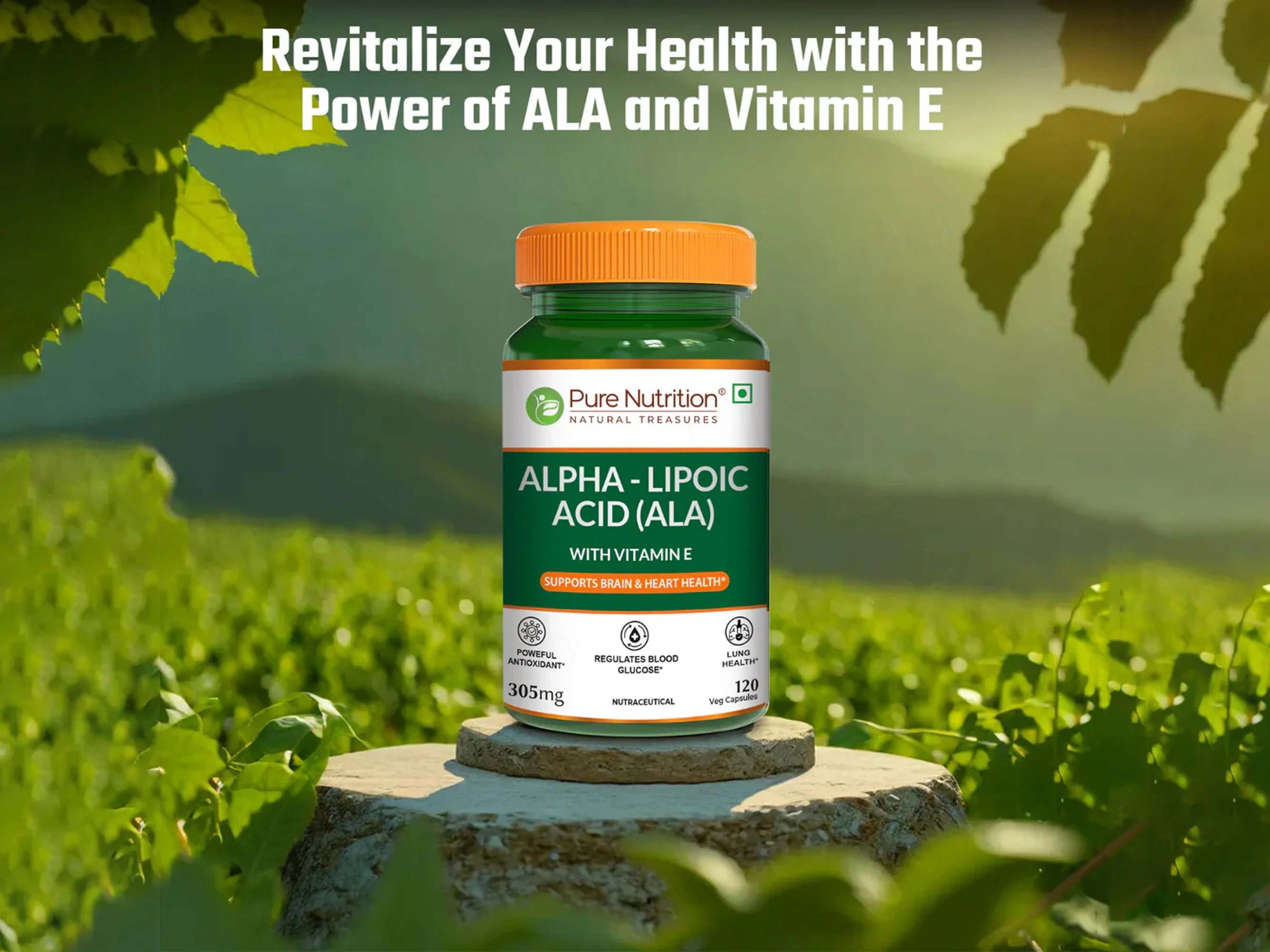 Pure Nutrition Alpha-Lipoic Acid (ALA) 305mg Veg Capsule - Image 5