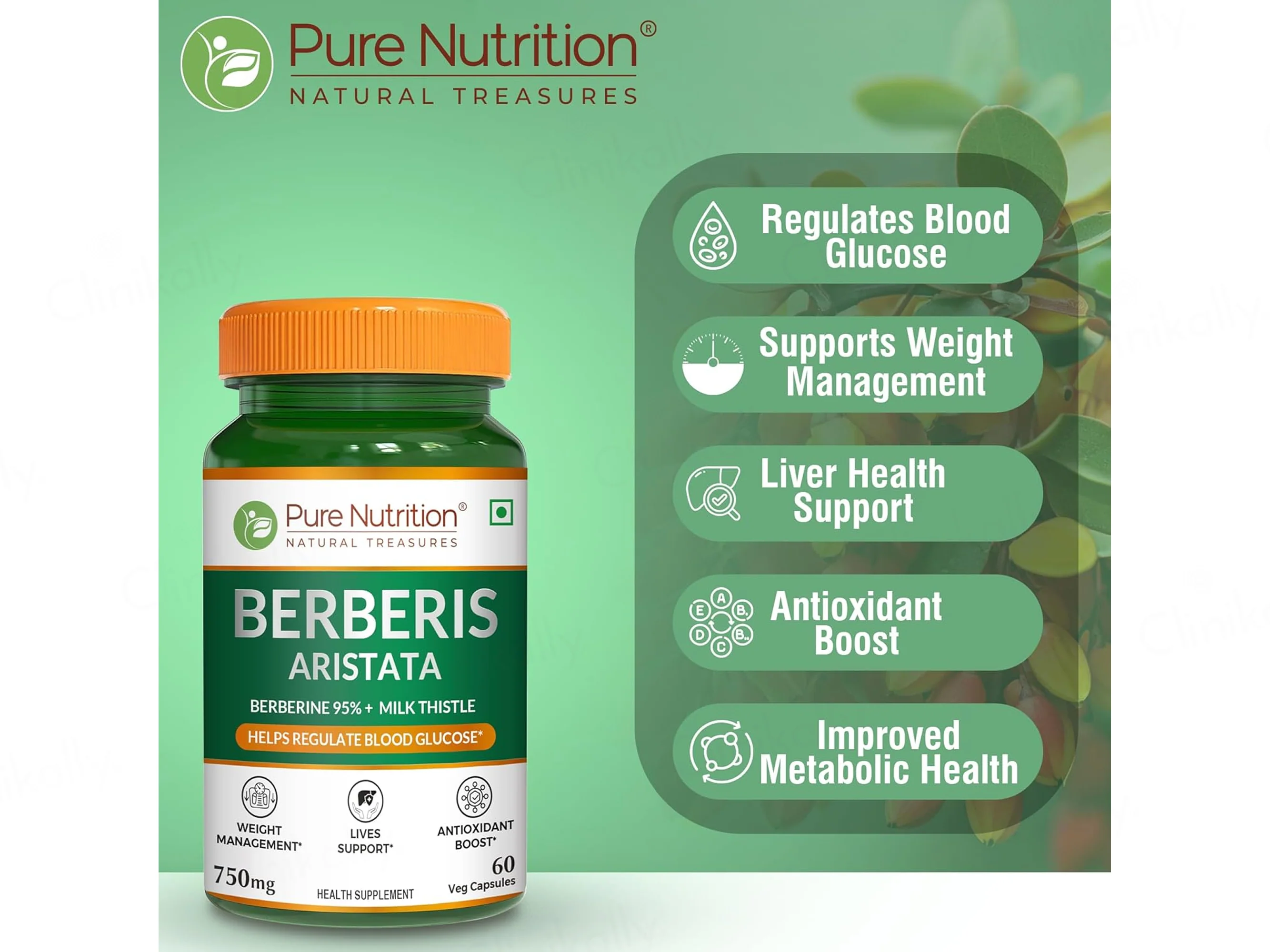 Pure Nutrition Berberis Aristata 750mg Veg Capsule - Image 3