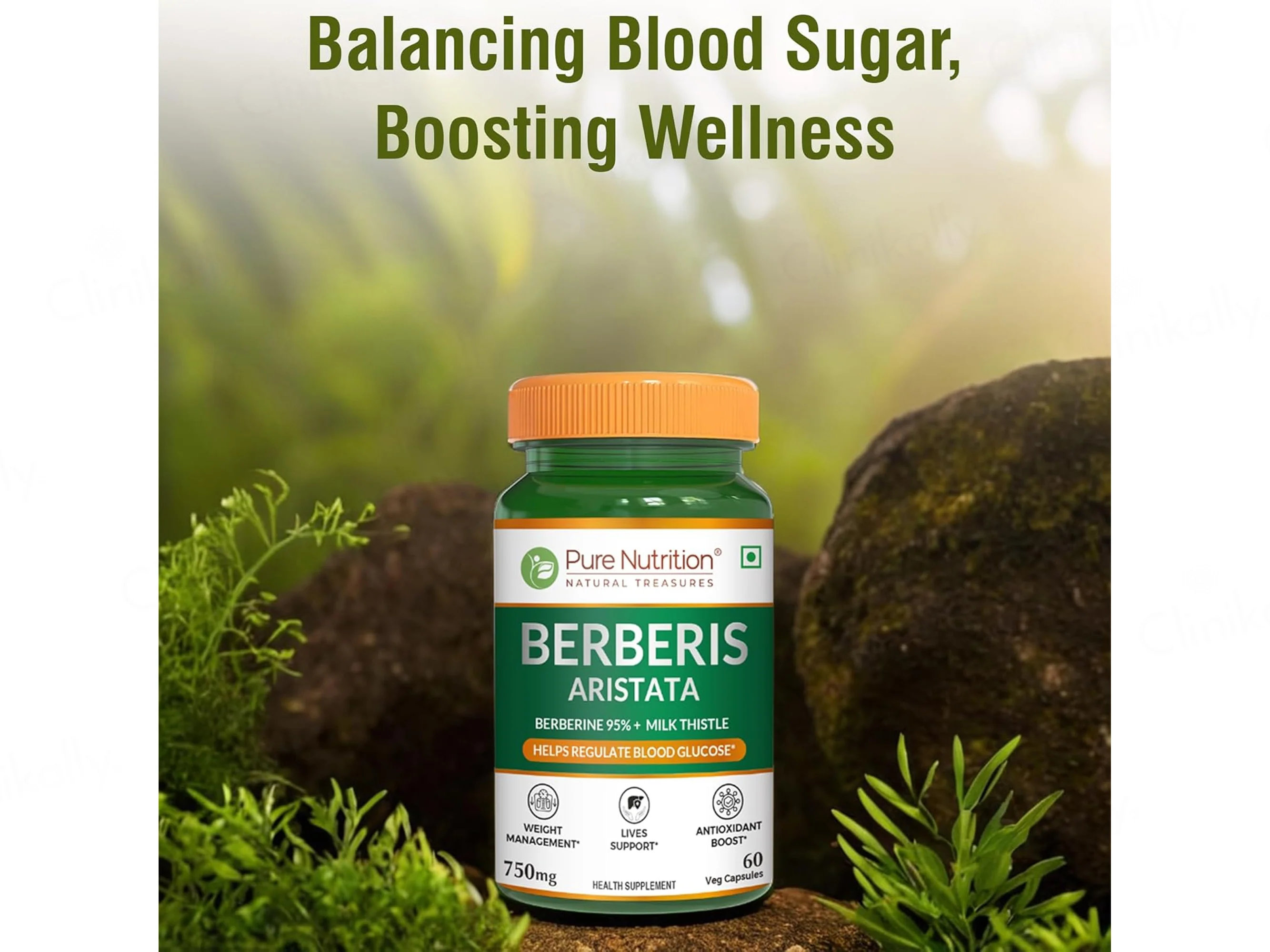 Pure Nutrition Berberis Aristata 750mg Veg Capsule - Image 5
