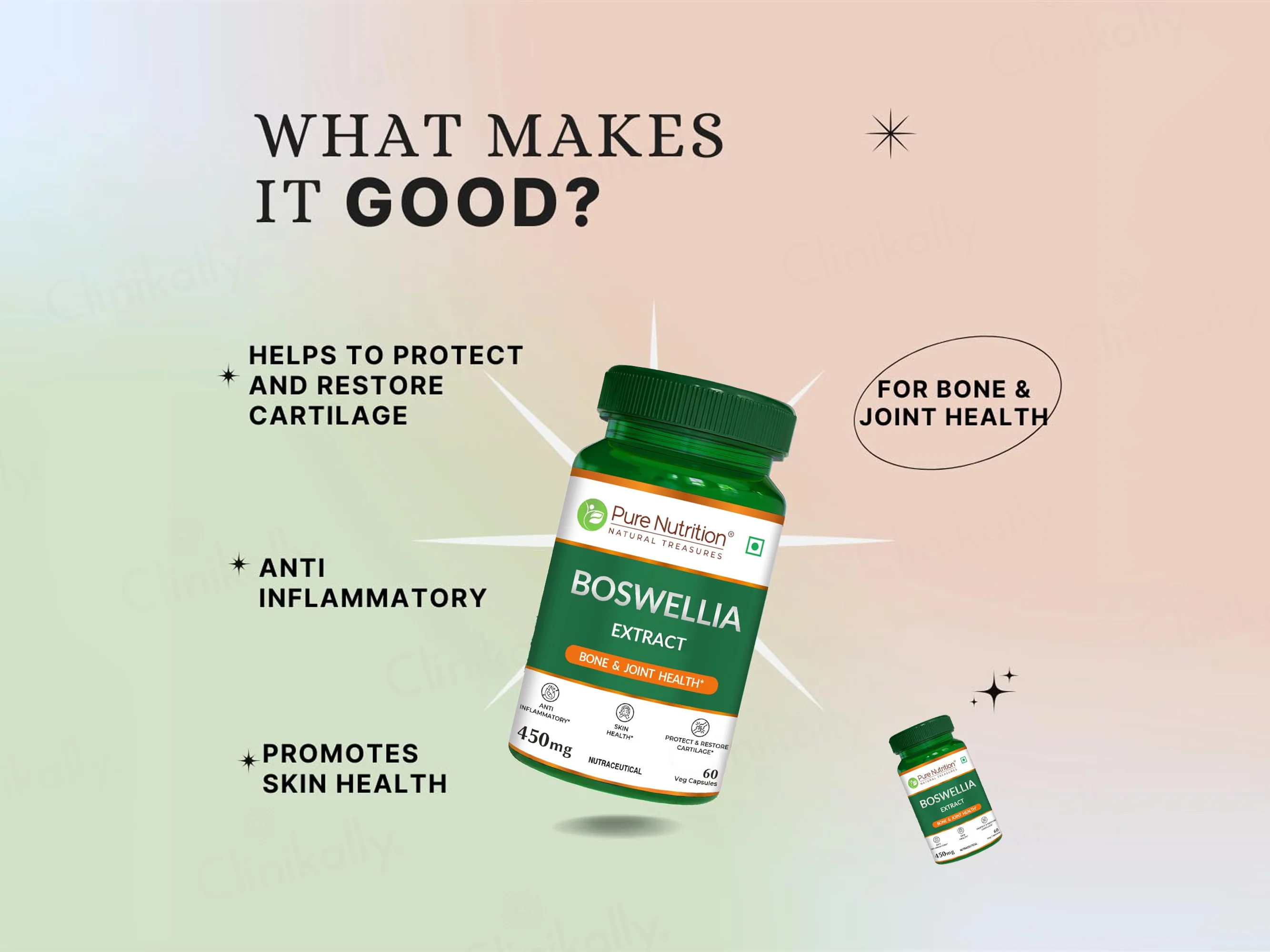 Pure Nutrition Boswellia Extract 450mg Veg Capsule - Image 2
