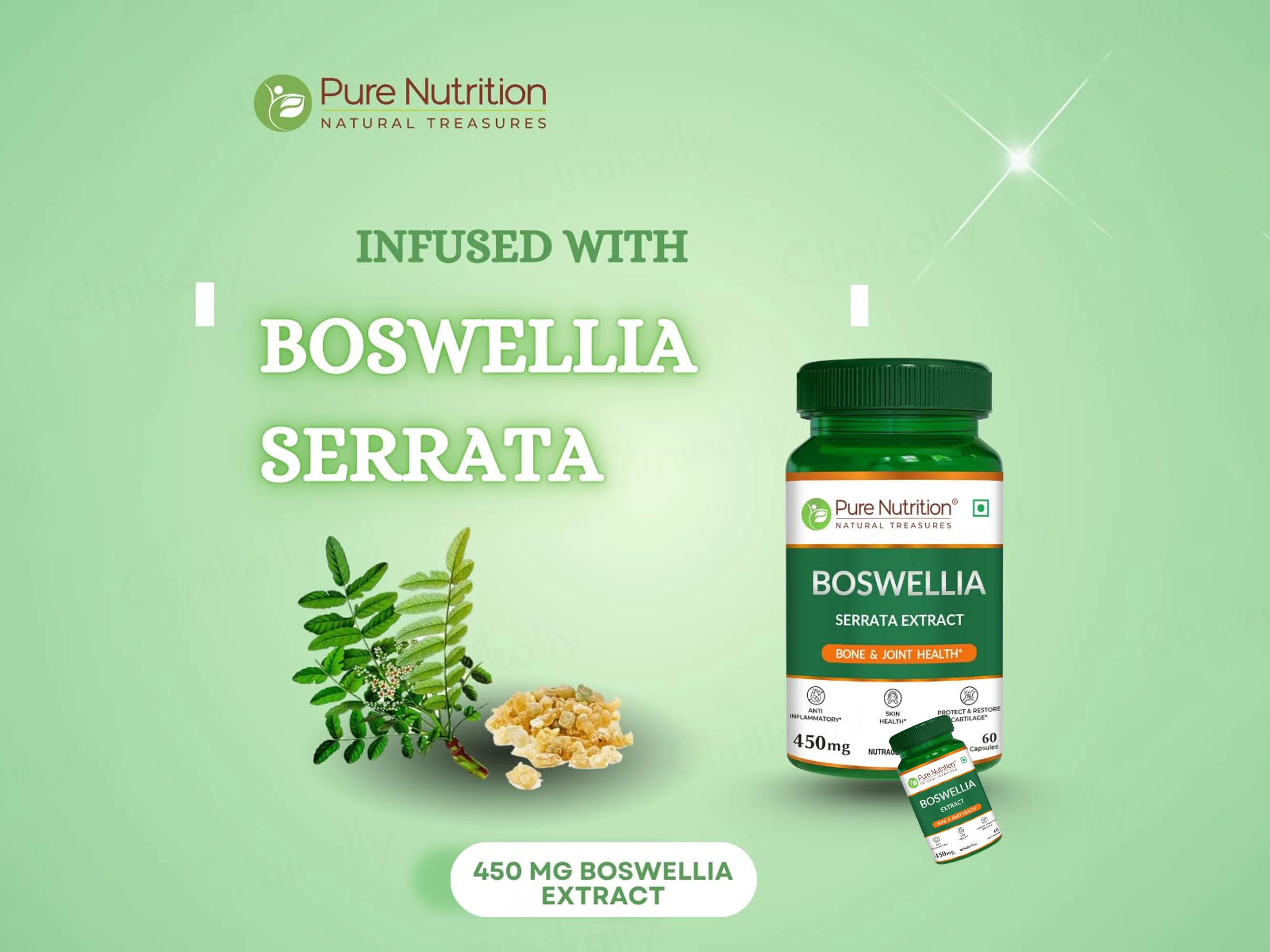 Pure Nutrition Boswellia Extract 450mg Veg Capsule - Image 3