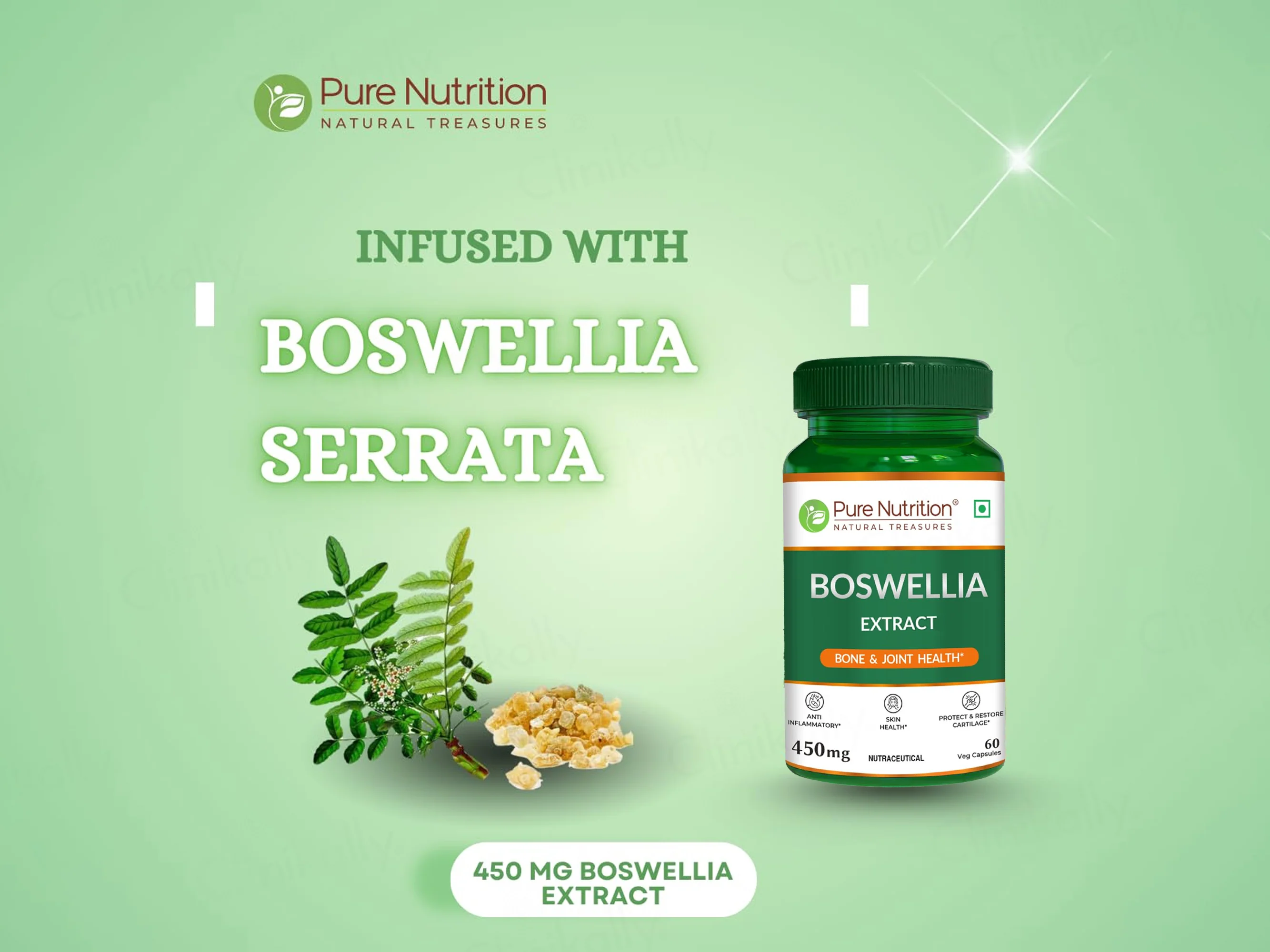 Pure Nutrition Boswellia Extract 450mg Veg Capsule - Image 4