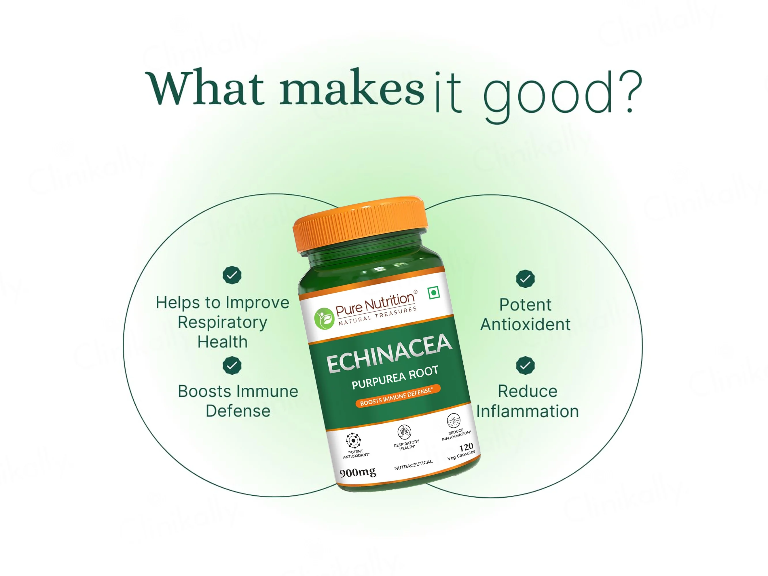 Pure Nutrition Echinacea Purpurea Root Extract 900mg Veg Capsule - Image 2