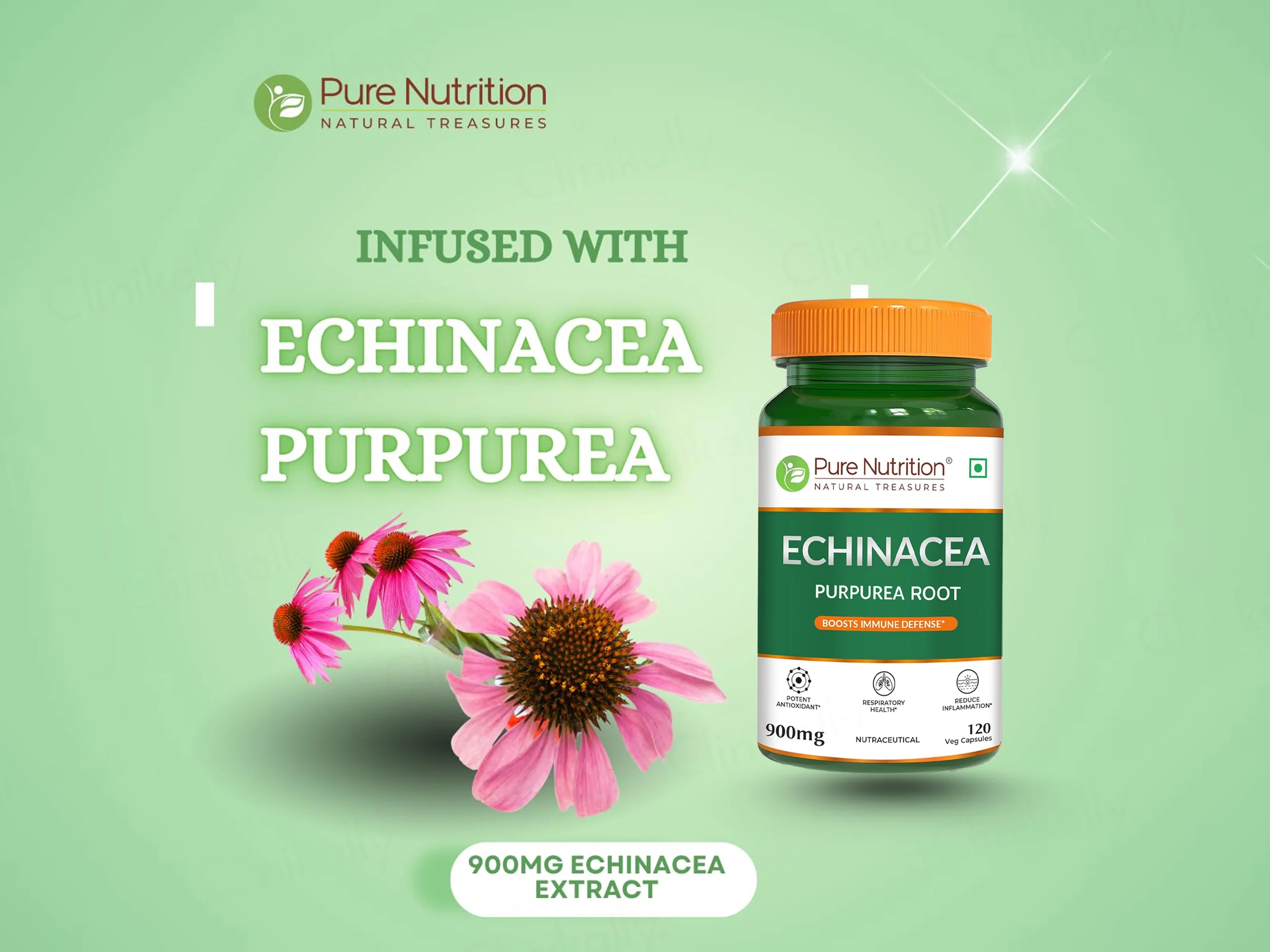 Pure Nutrition Echinacea Purpurea Root Extract 900mg Veg Capsule - Image 3