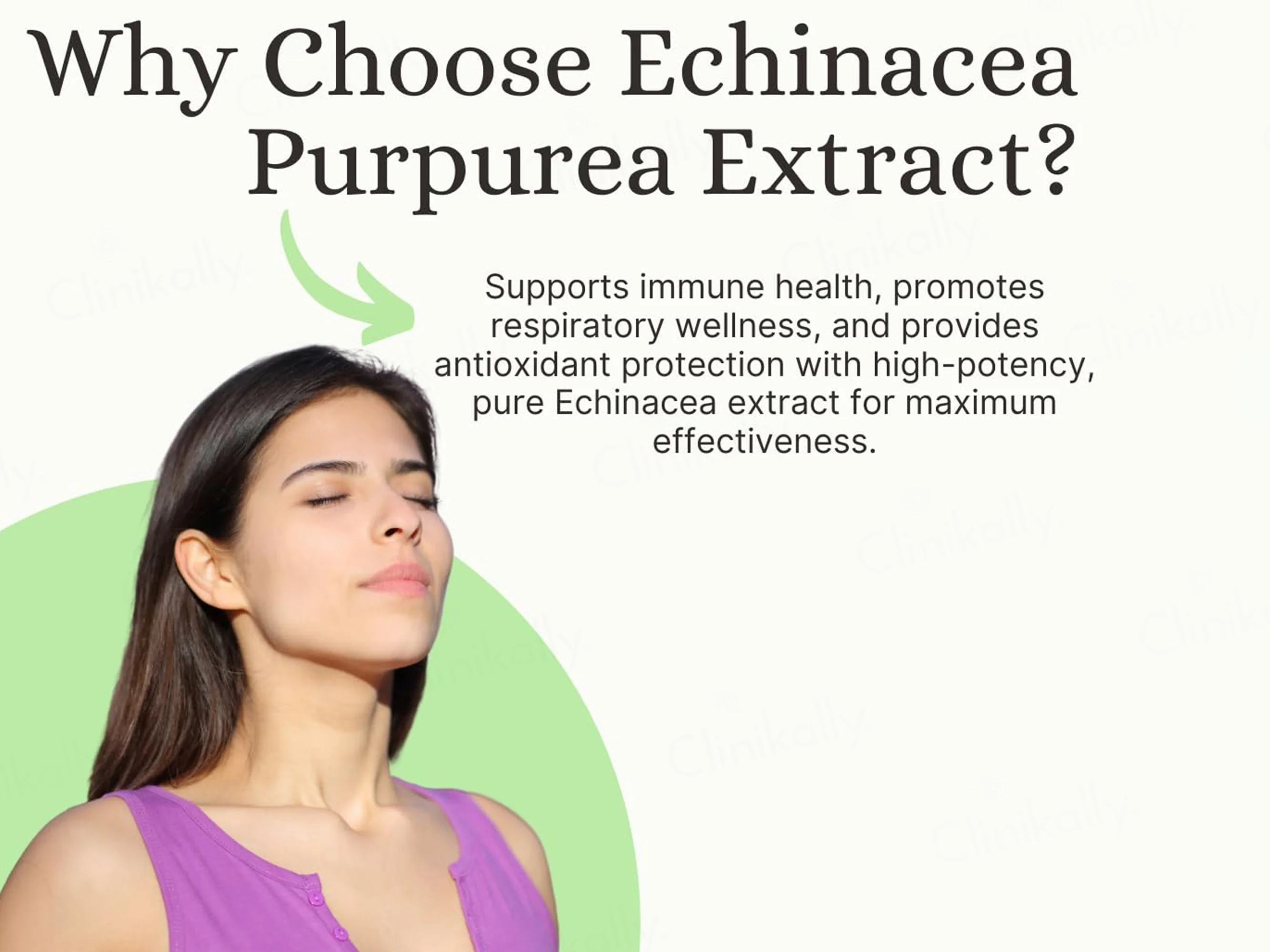Pure Nutrition Echinacea Purpurea Root Extract 900mg Veg Capsule - Image 4