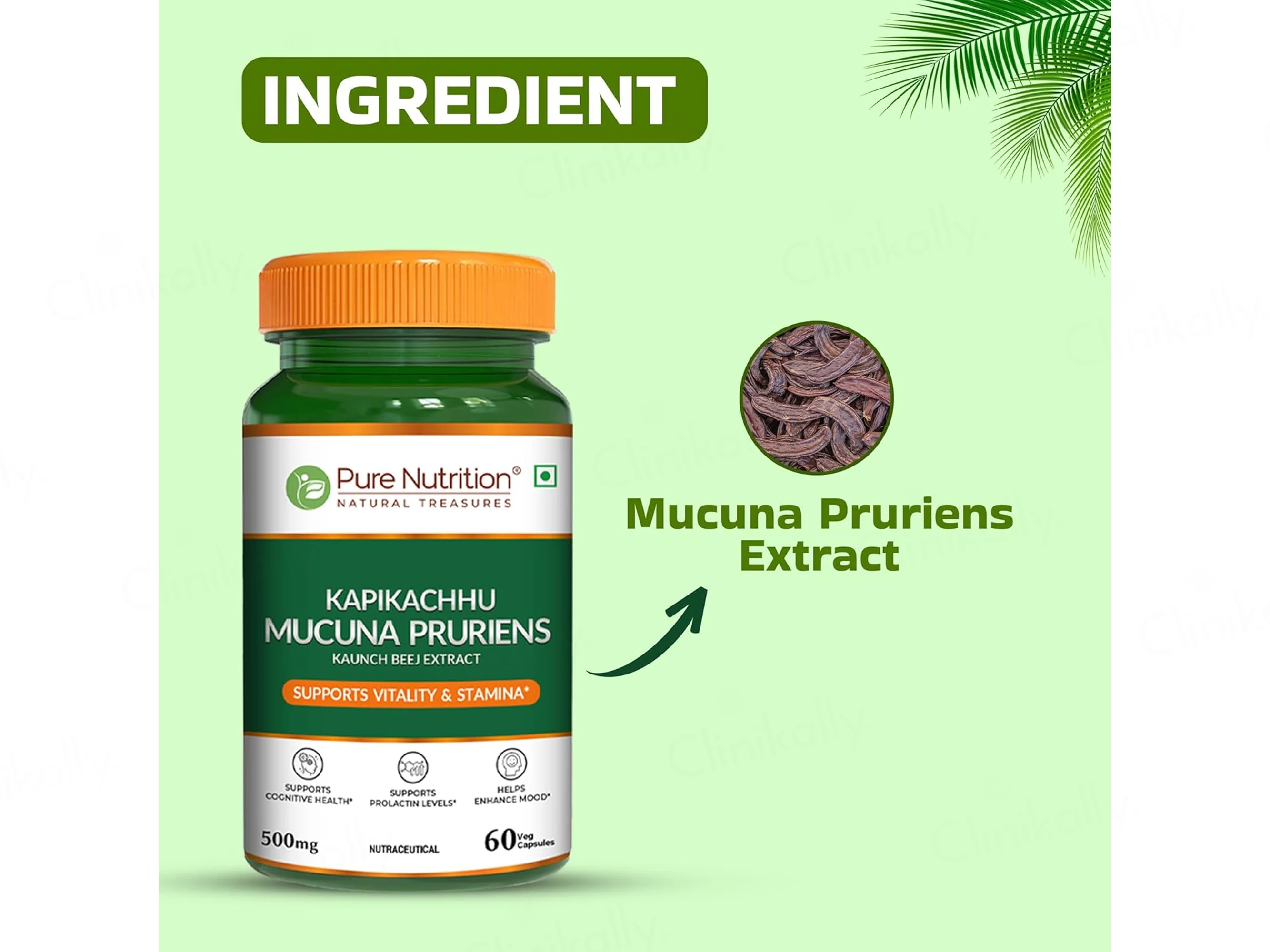 Pure Nutrition Kapikachhu Mucuna Pruriens 500mg Veg Capsule - Image 3