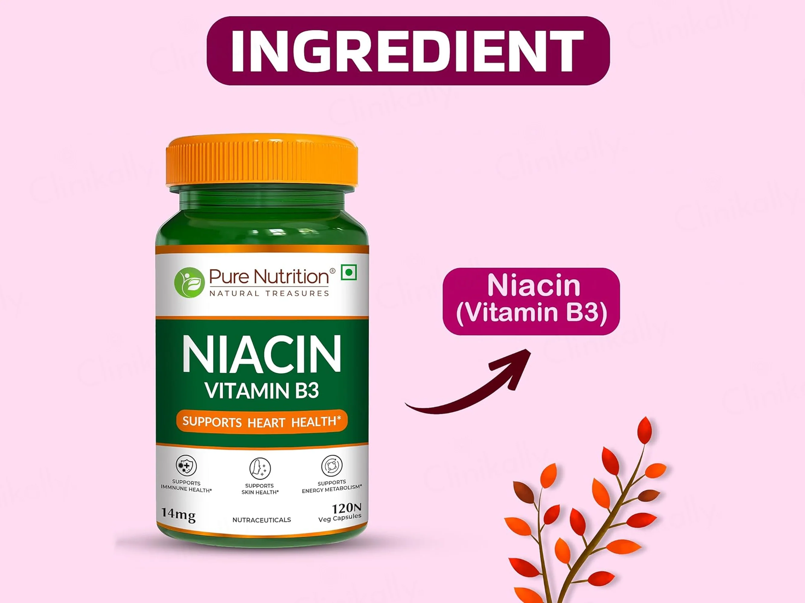 Pure Nutrition Niacin Vitamin B3 14mg Veg Capsule - Image 3