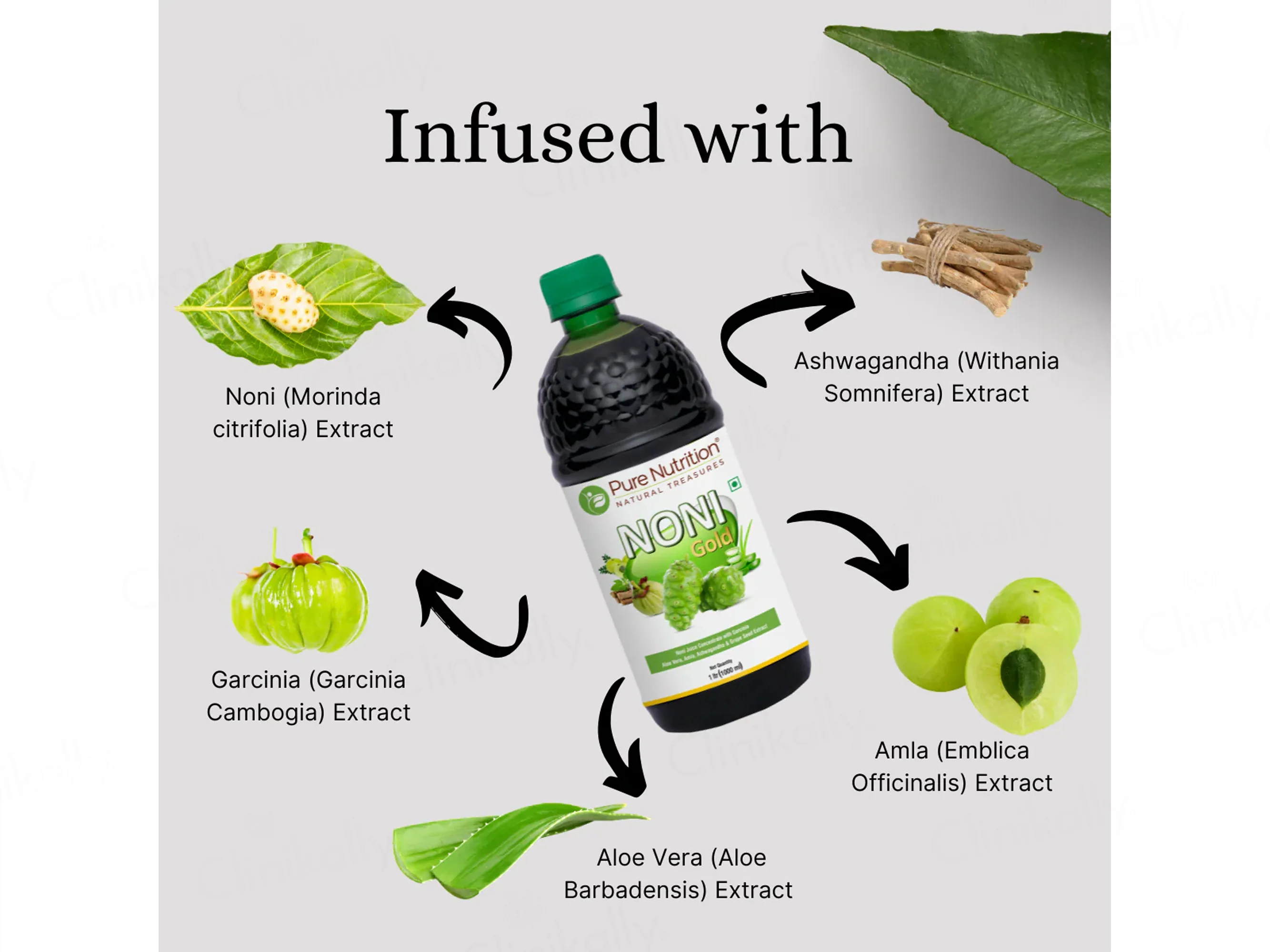 Pure Nutrition Noni Gold Juice - Image 7