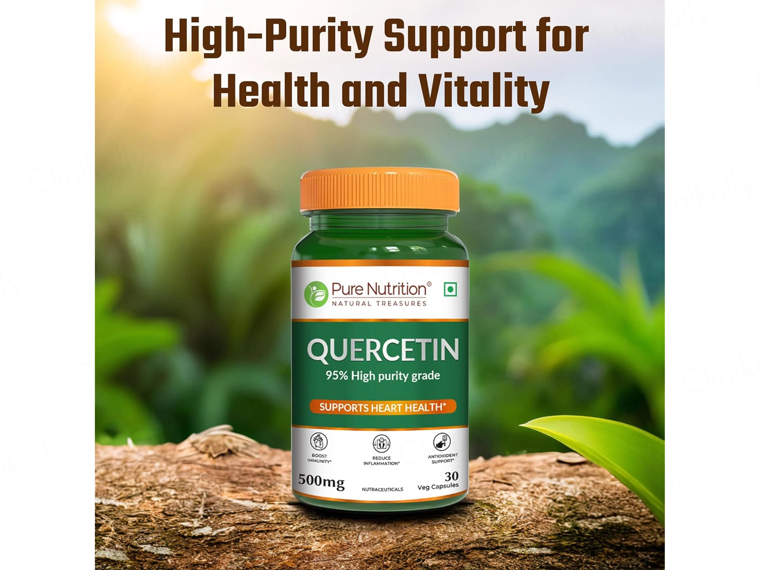 Pure Nutrition Quercetin 500mg Veg Capsule - Image 5