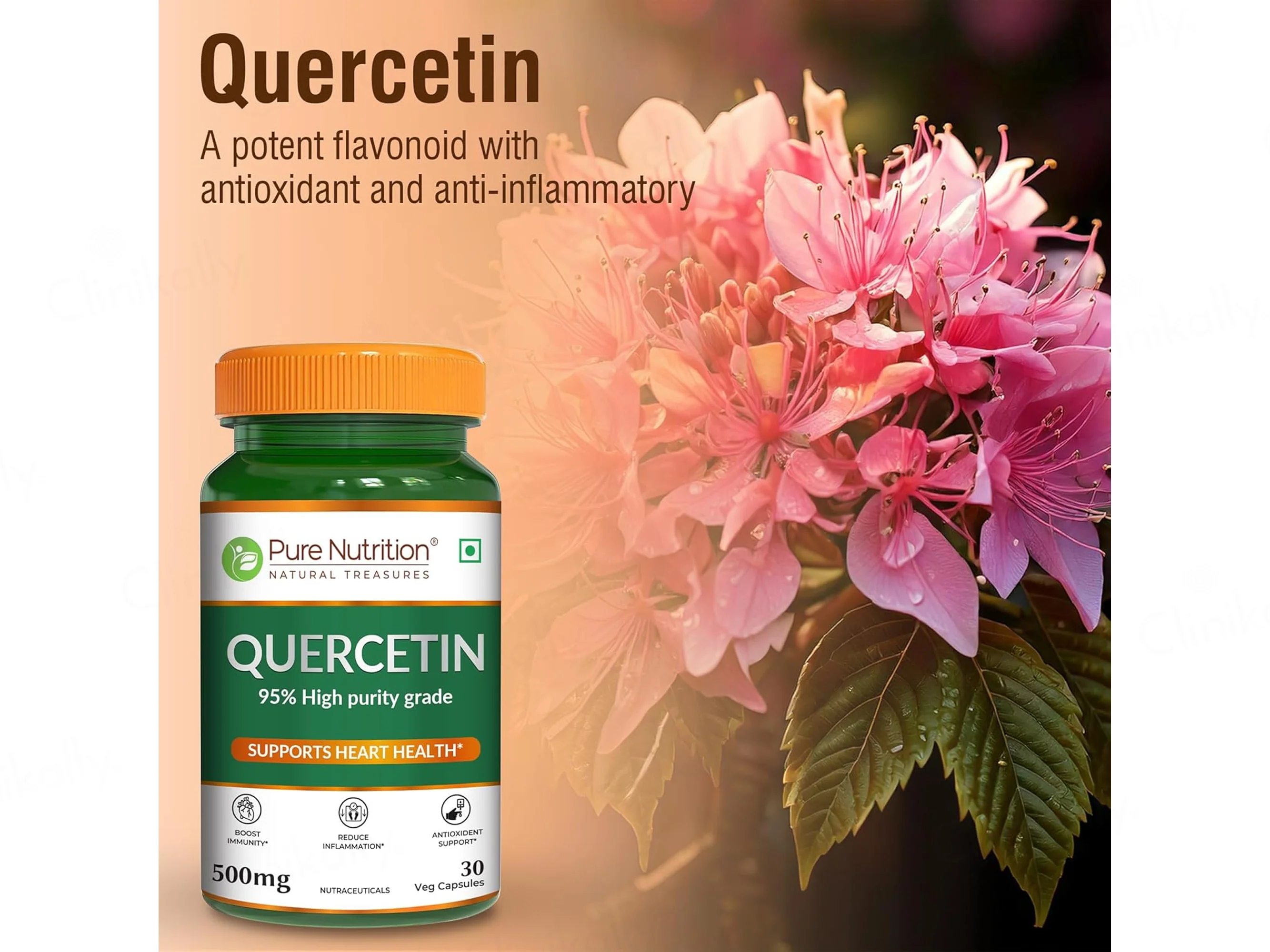 Pure Nutrition Quercetin 500mg Veg Capsule - Image 6