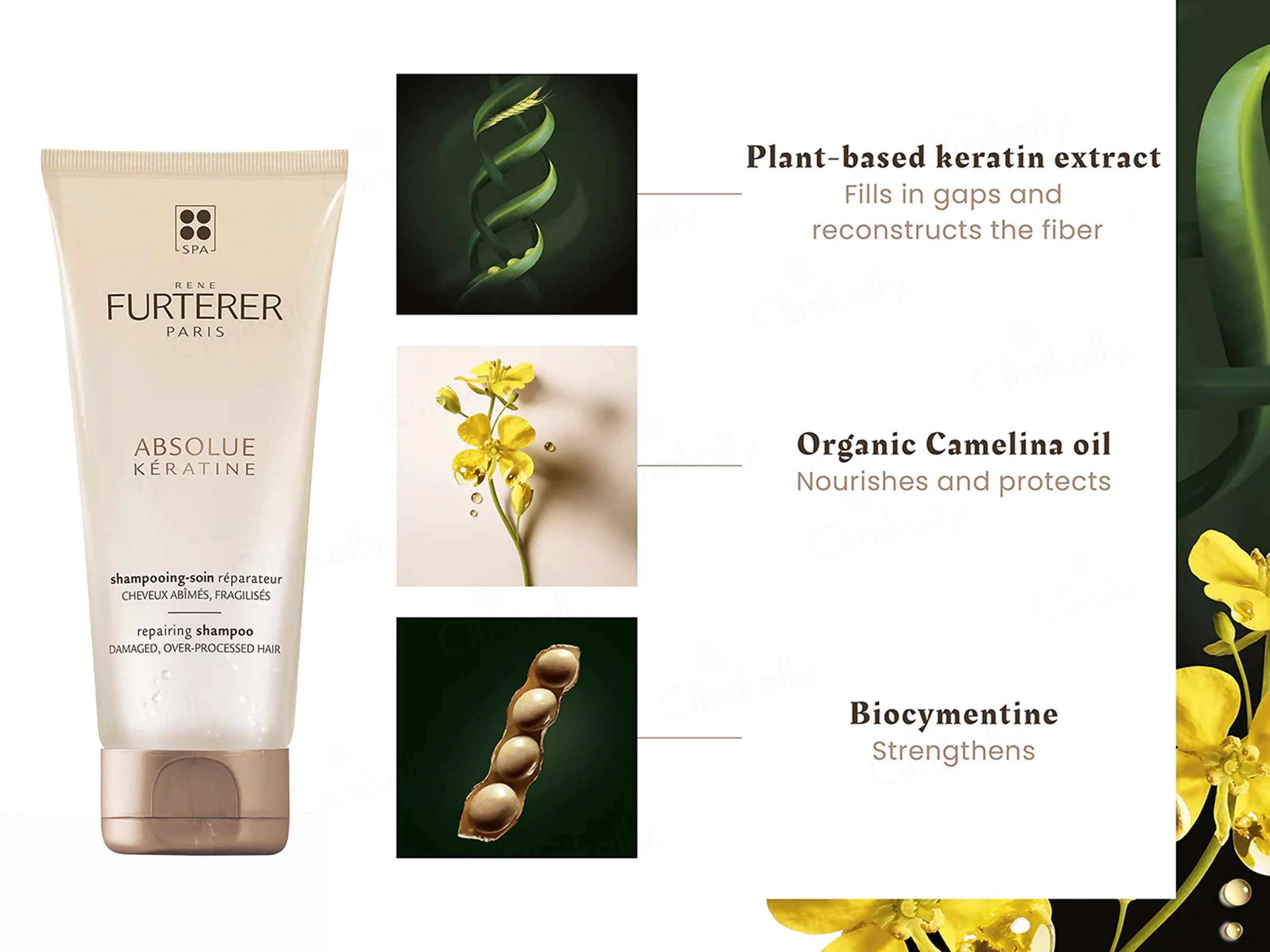 Rene Furterer Absolue Keratine Repairing Shampoo - Image 3