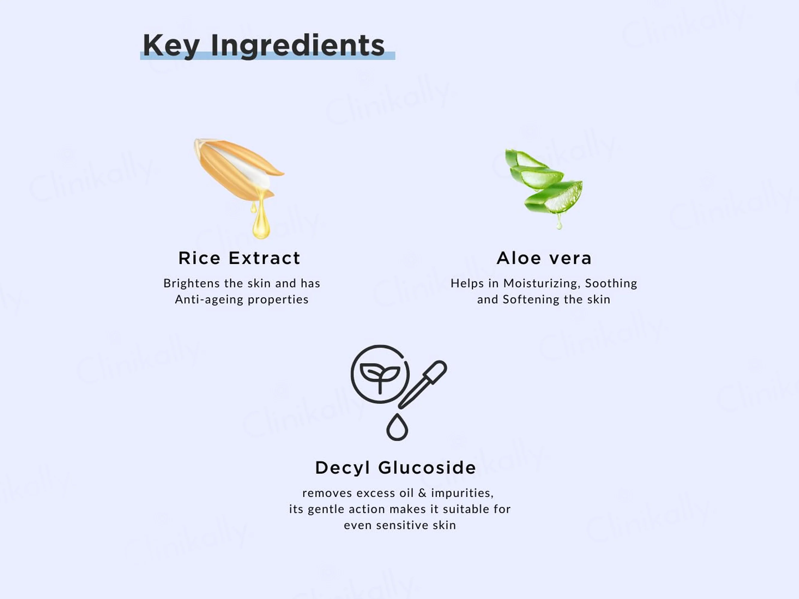 RiceKraft Rice & Aloe Vera Gentle Cleanser Face Wash - Image 4