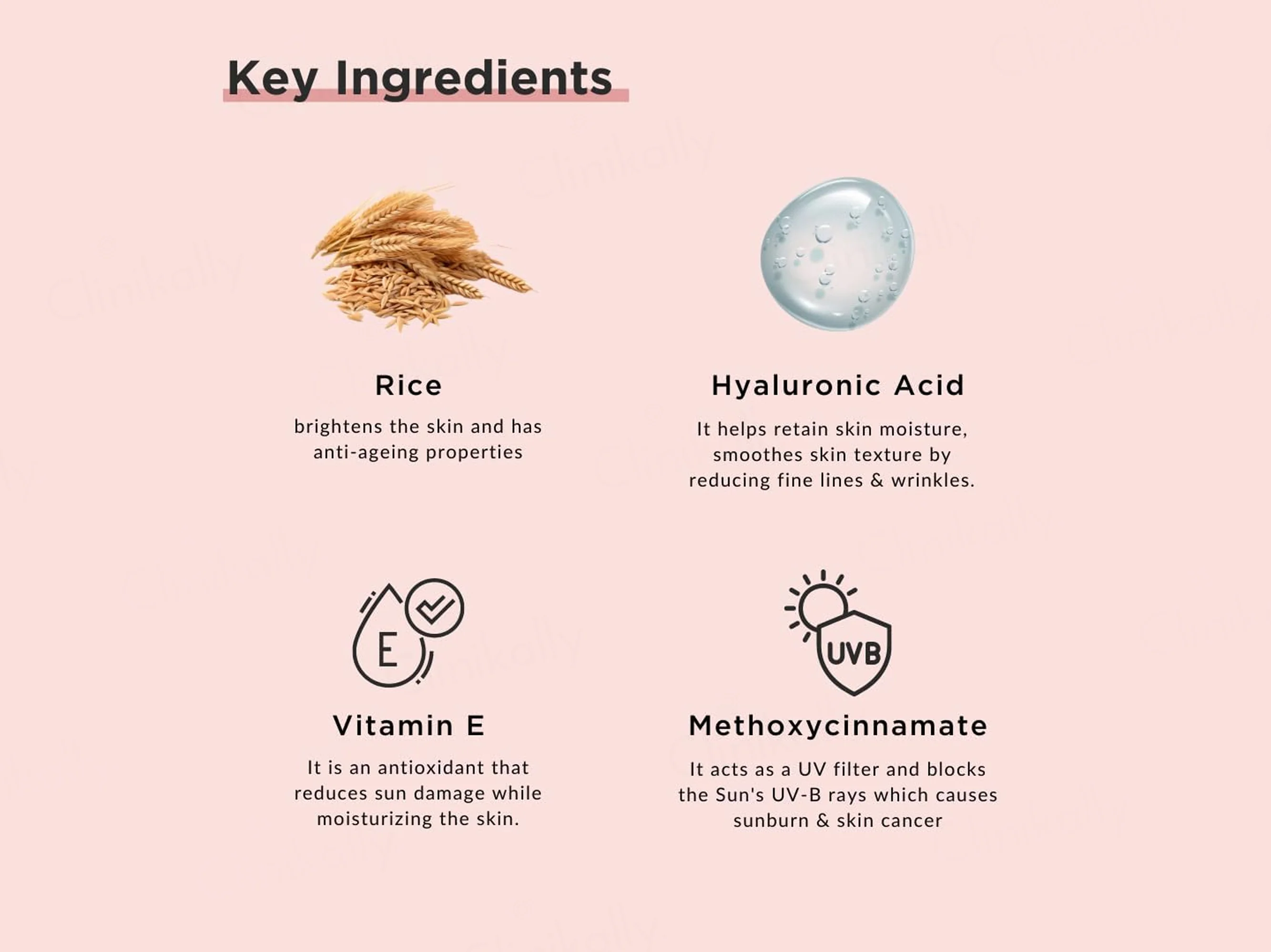 RiceKraft Rice & Hyaluronic Acid Sunscreen SPF 50+ PA++++ - Image 3
