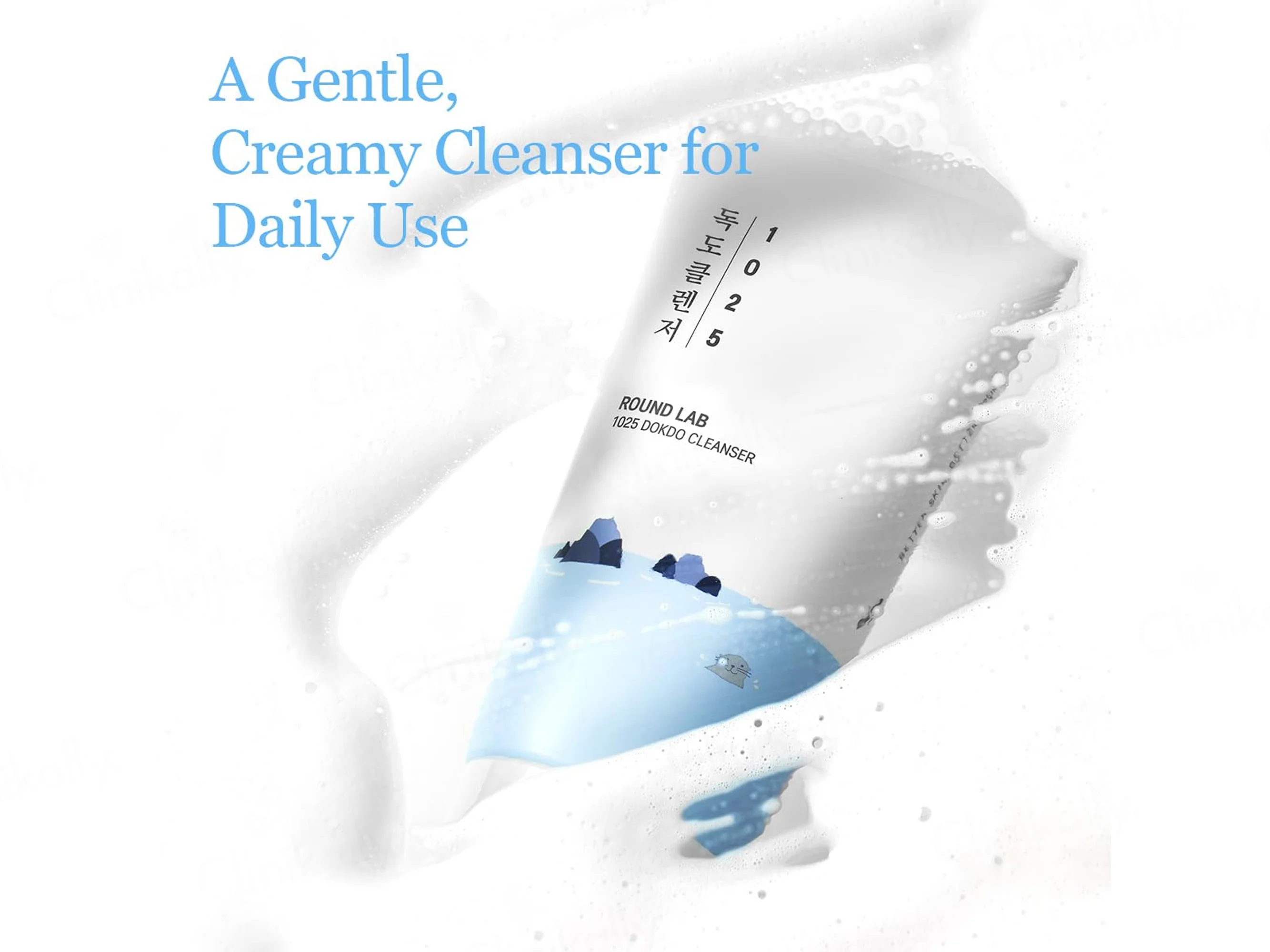 Round Lab 1025 Dokdo Cleanser - Image 2