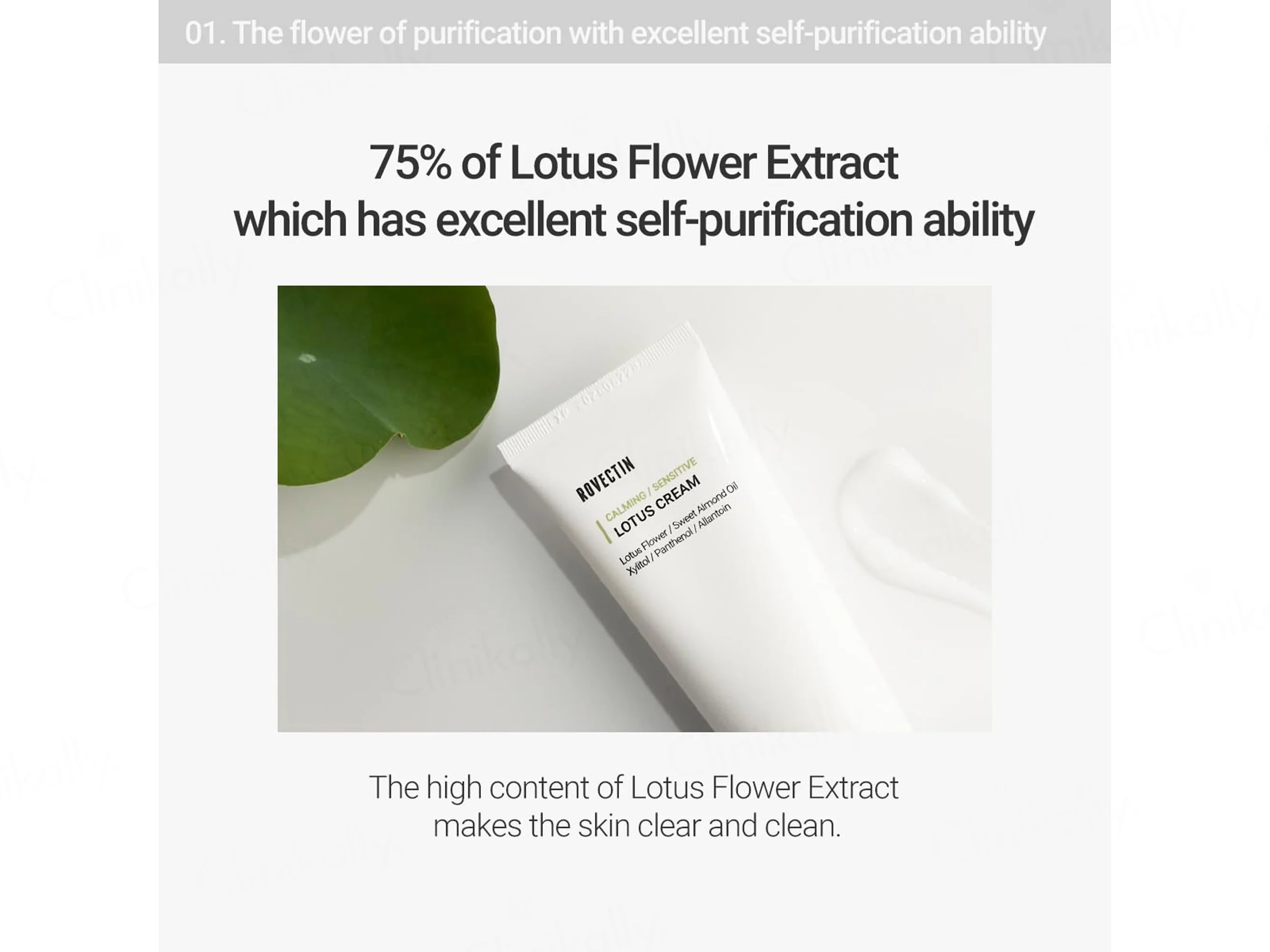 Rovectin Calming Lotus Cream - Image 5
