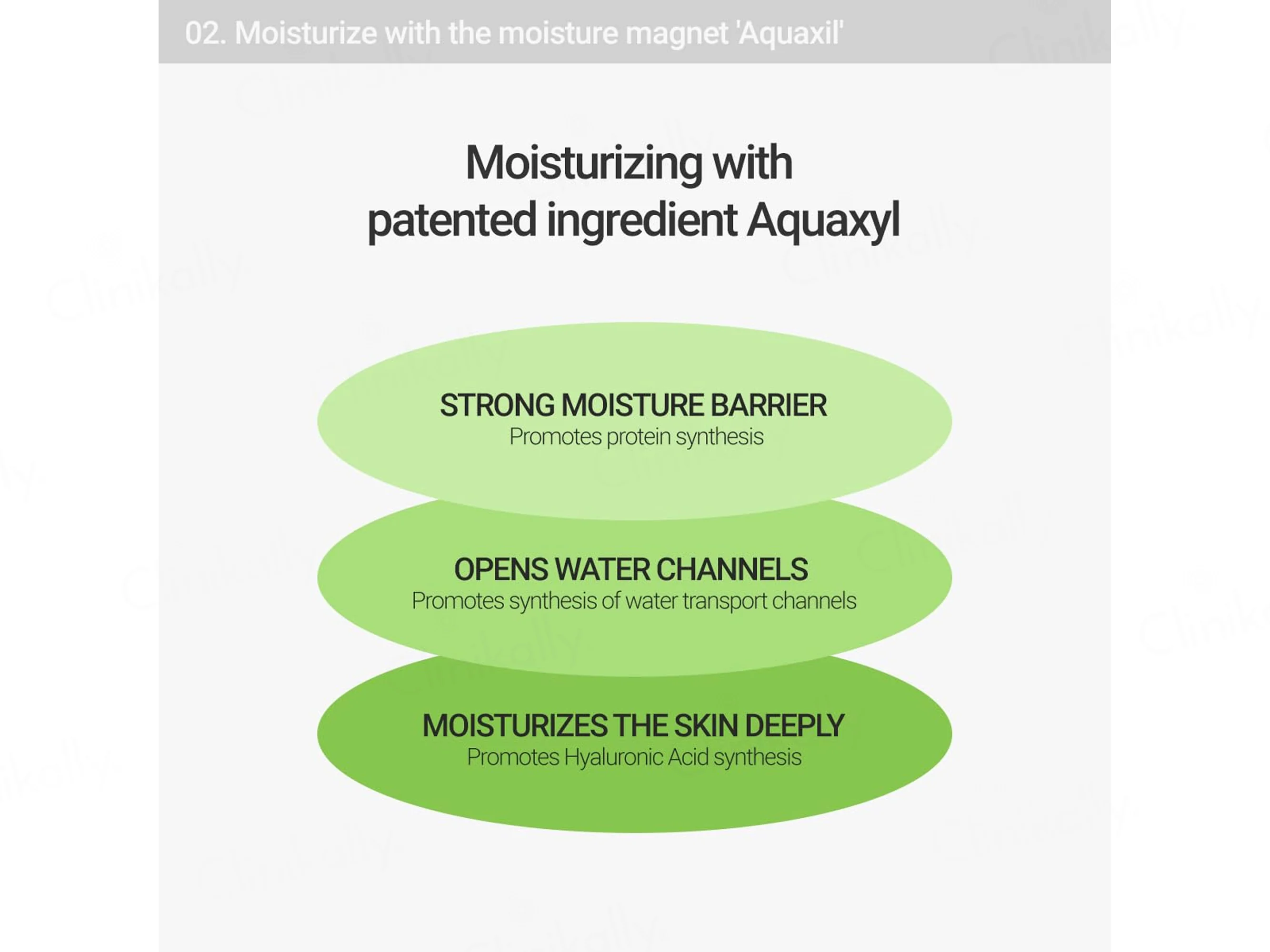 Rovectin Calming Lotus Cream - Image 6