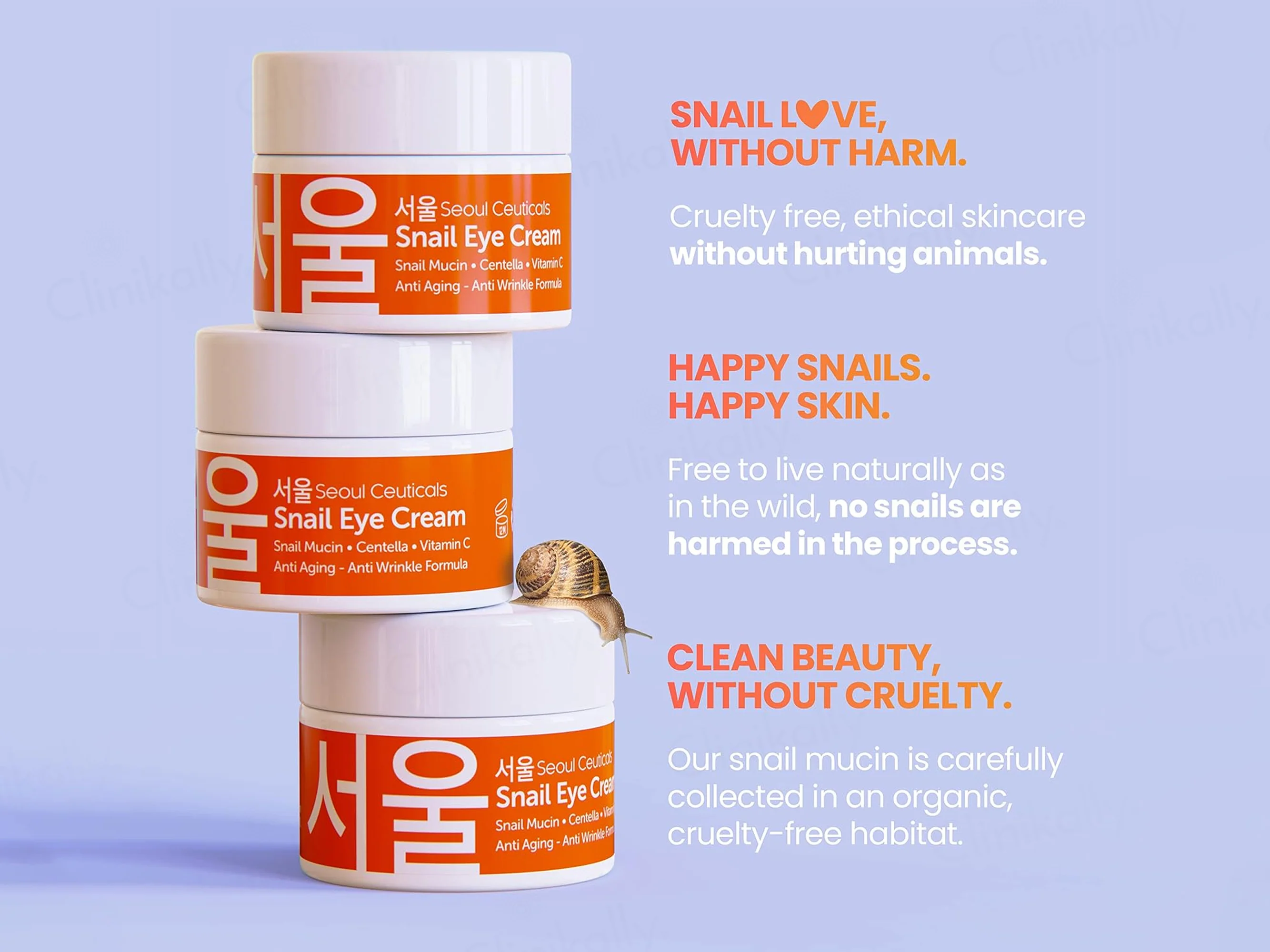 SeoulCeuticals Snail Mucin Eye Cream - Image 5