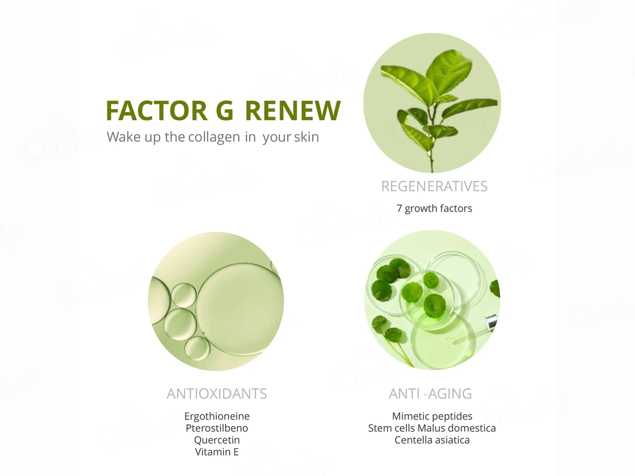Sesderma Factor G Renew Rejuvenating Cream - Image 3