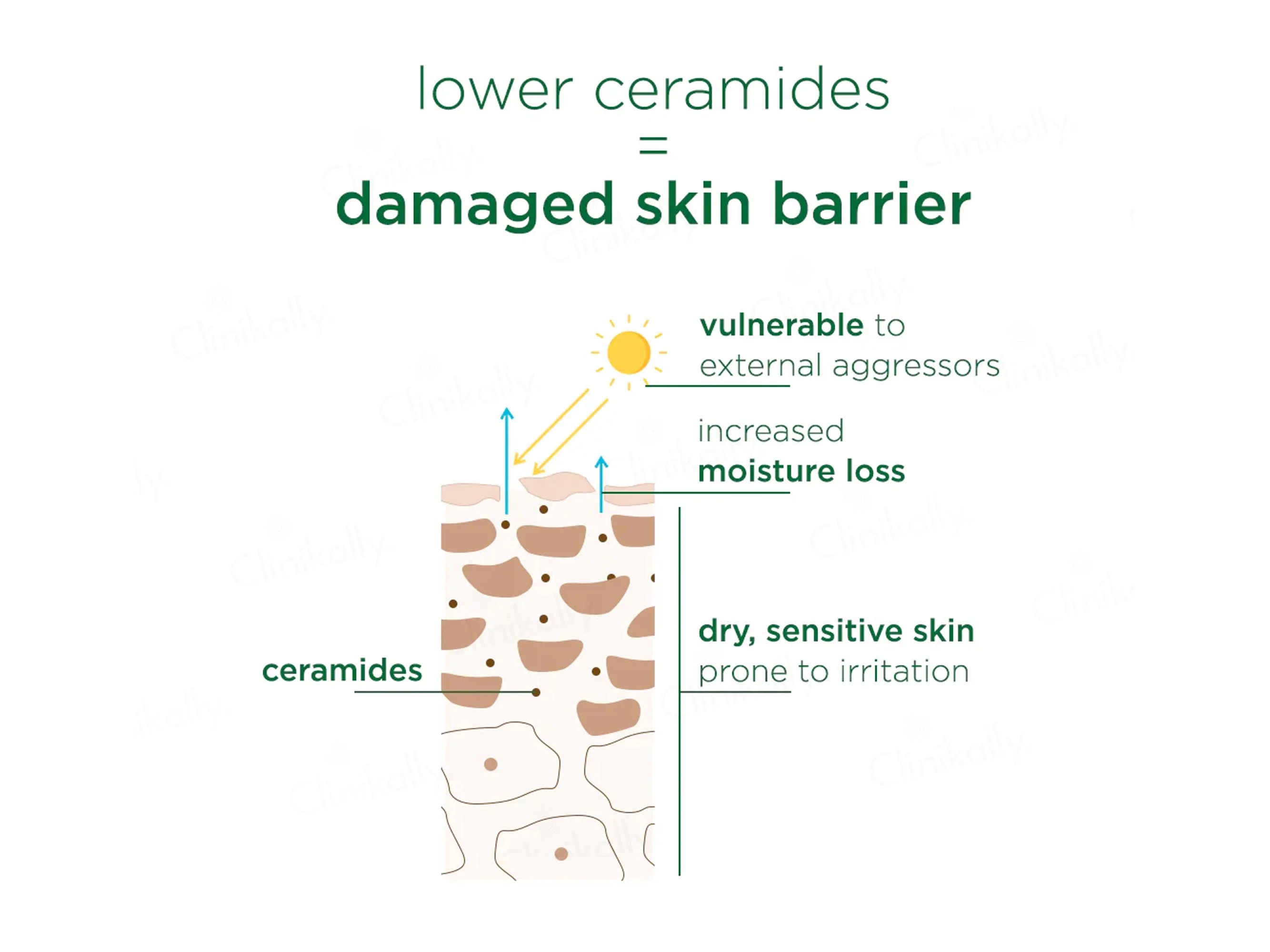 Simple Active Skin Barrier Care Replenishing Cream Cleanser - Image 6