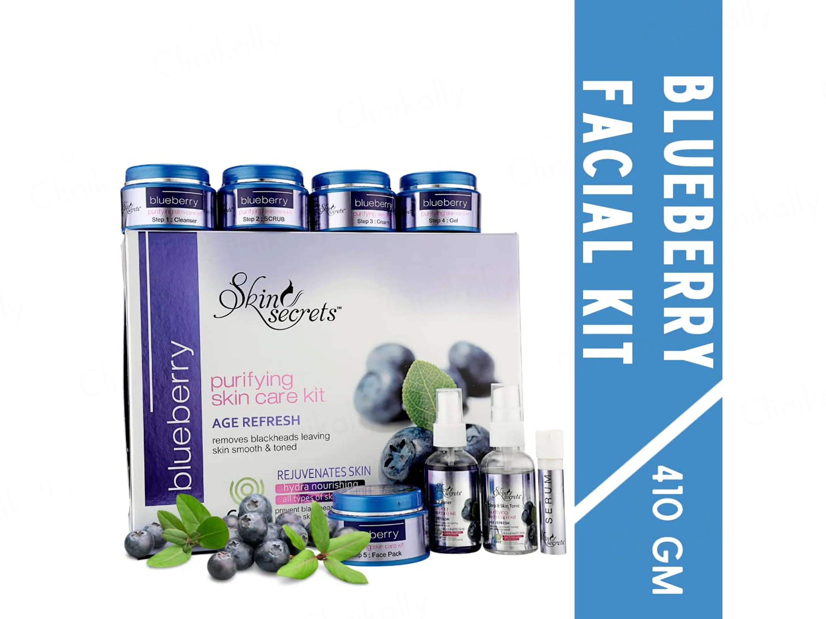Skin Secrets Blueberry Age Refresh Purifying Skin Care Facial Kit - Image 2