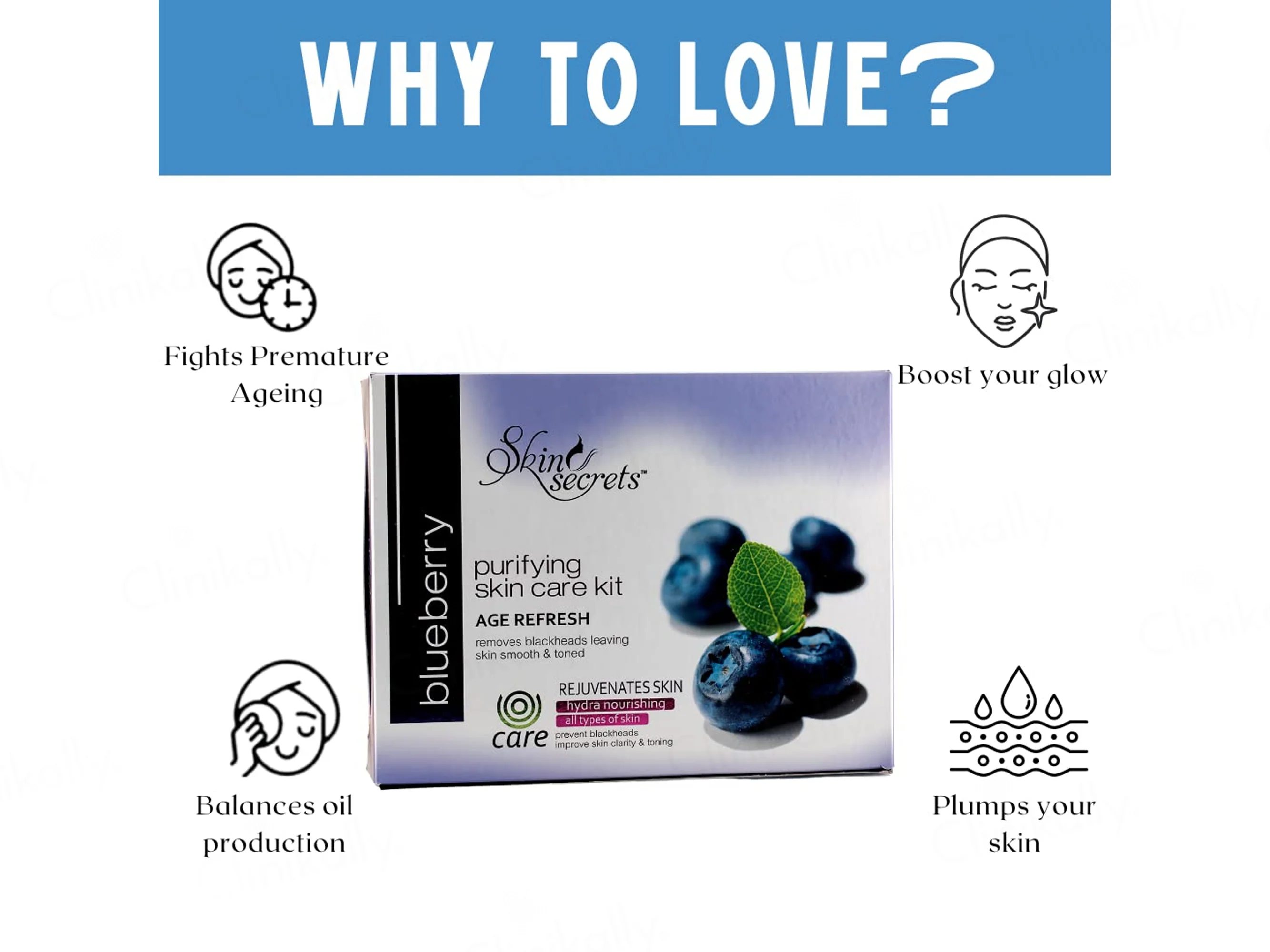 Skin Secrets Blueberry Age Refresh Purifying Skin Care Facial Kit - Image 3