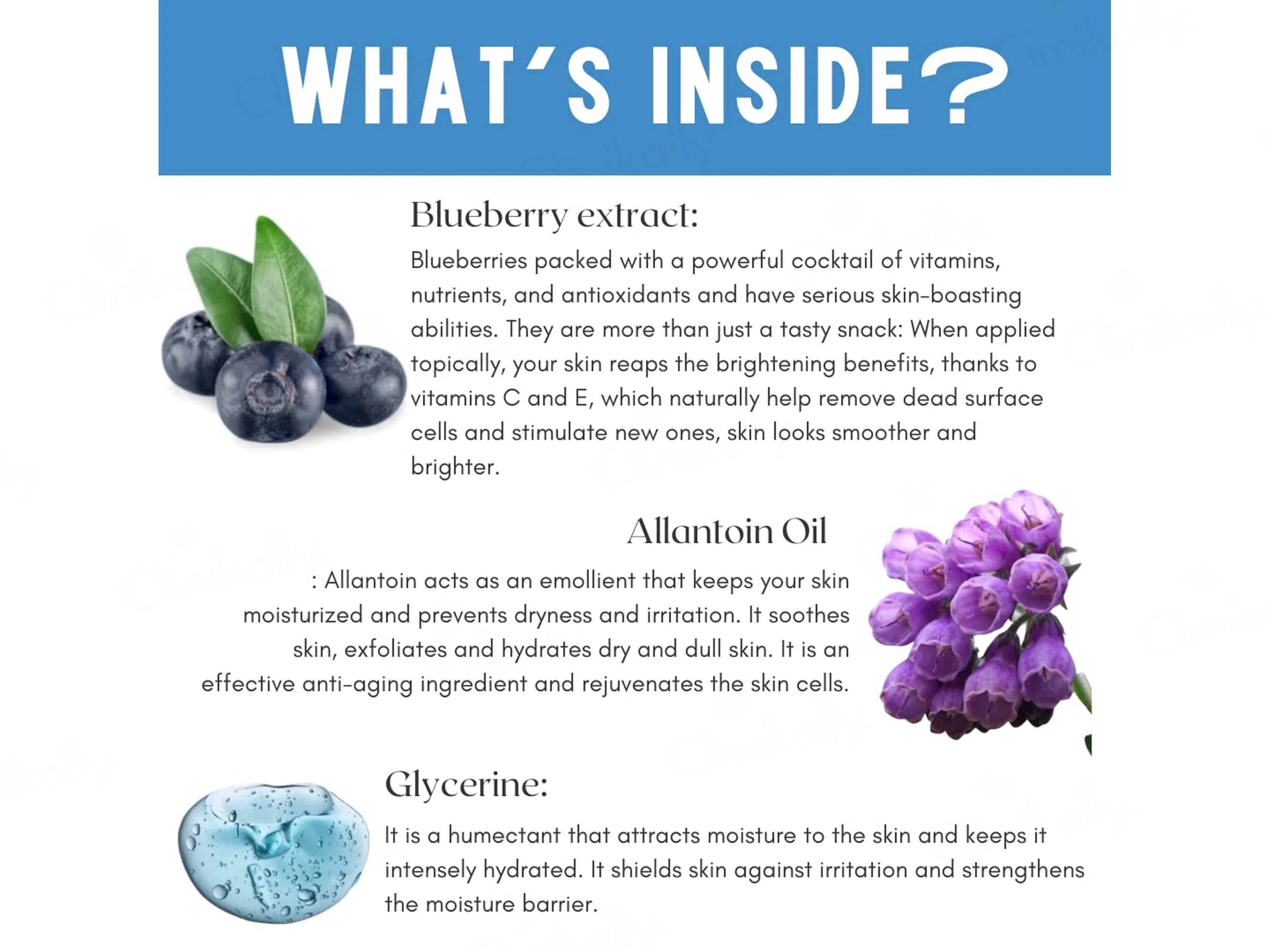 Skin Secrets Blueberry Age Refresh Purifying Skin Care Facial Kit - Image 4